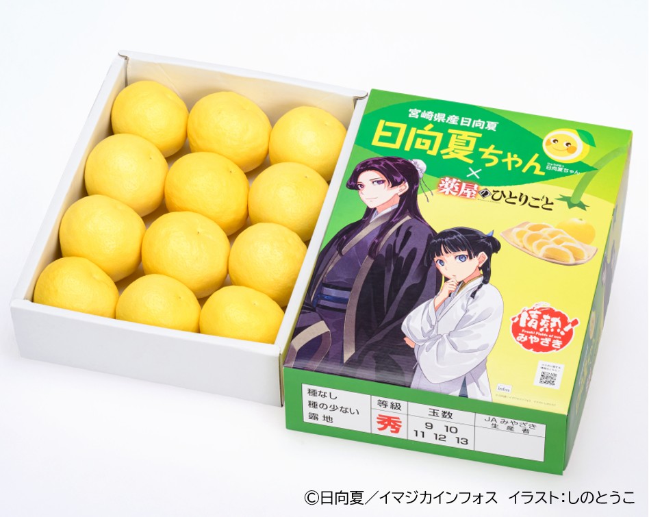 ★夏休みセール！新品！オリジナル限定品 5'11 35L！ラスト一本手渡し限定★ 新商品(*^o^*),ﾟ.:｡+ﾟ ぼんやり月曜日にシュワッとスッキリな 手作り