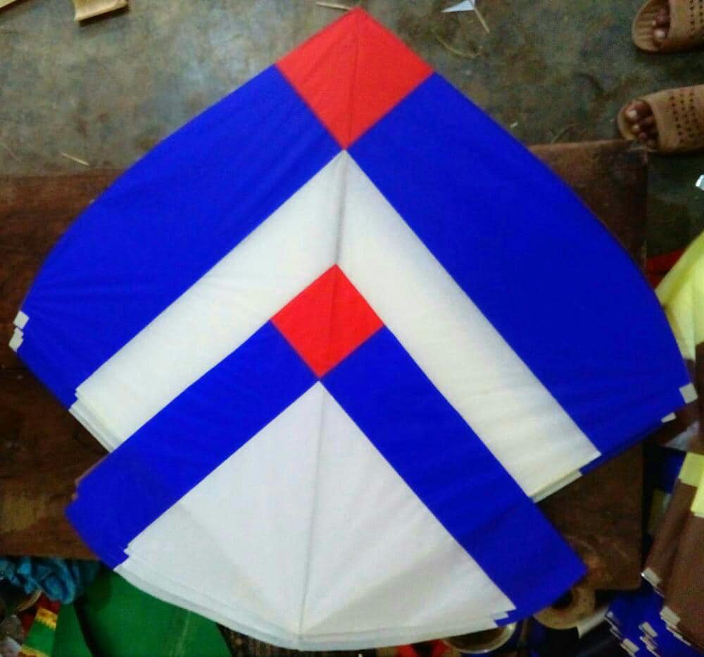 Pakistan Kite Flying Association