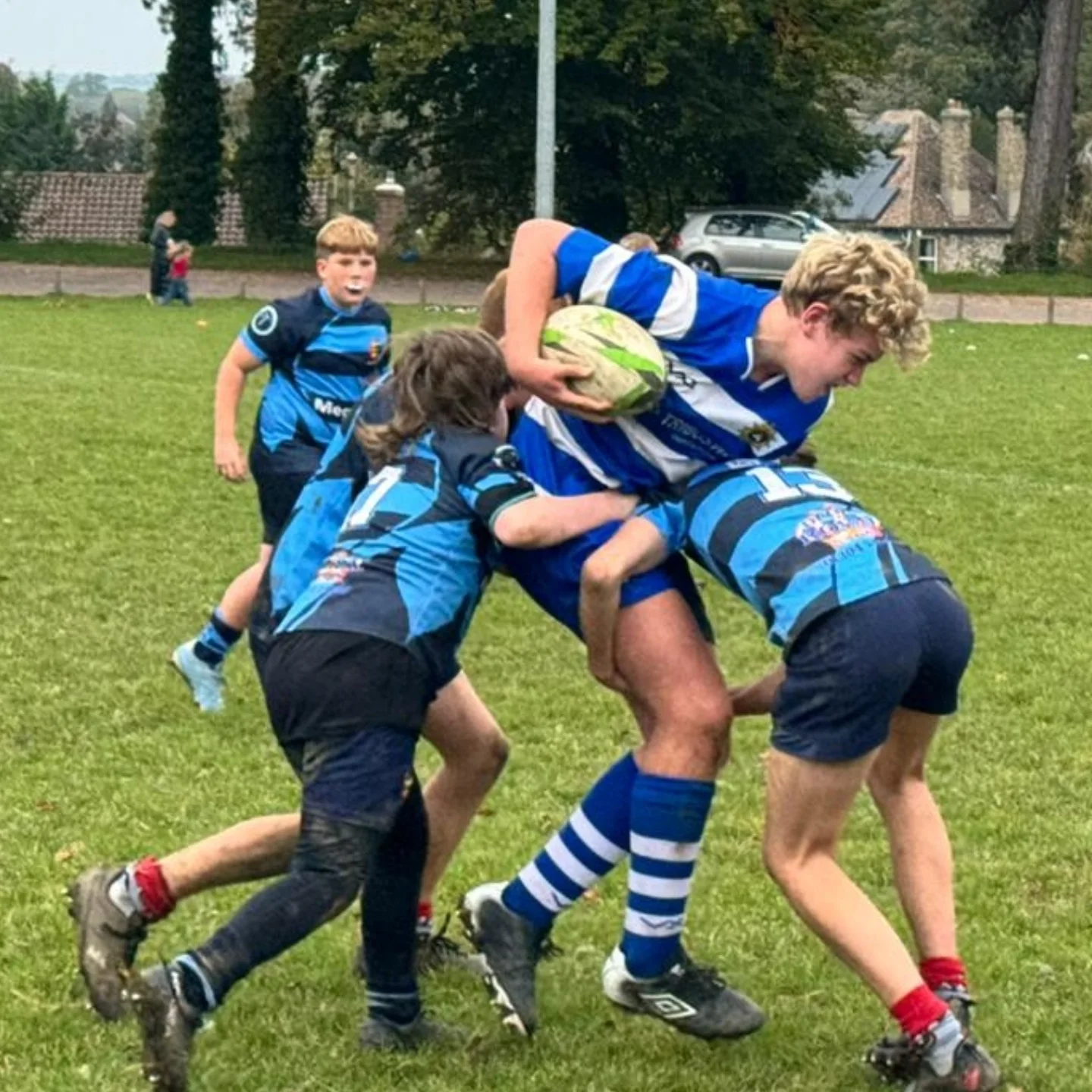 Whitstable Rugby Football Club - Mini & Junior Section