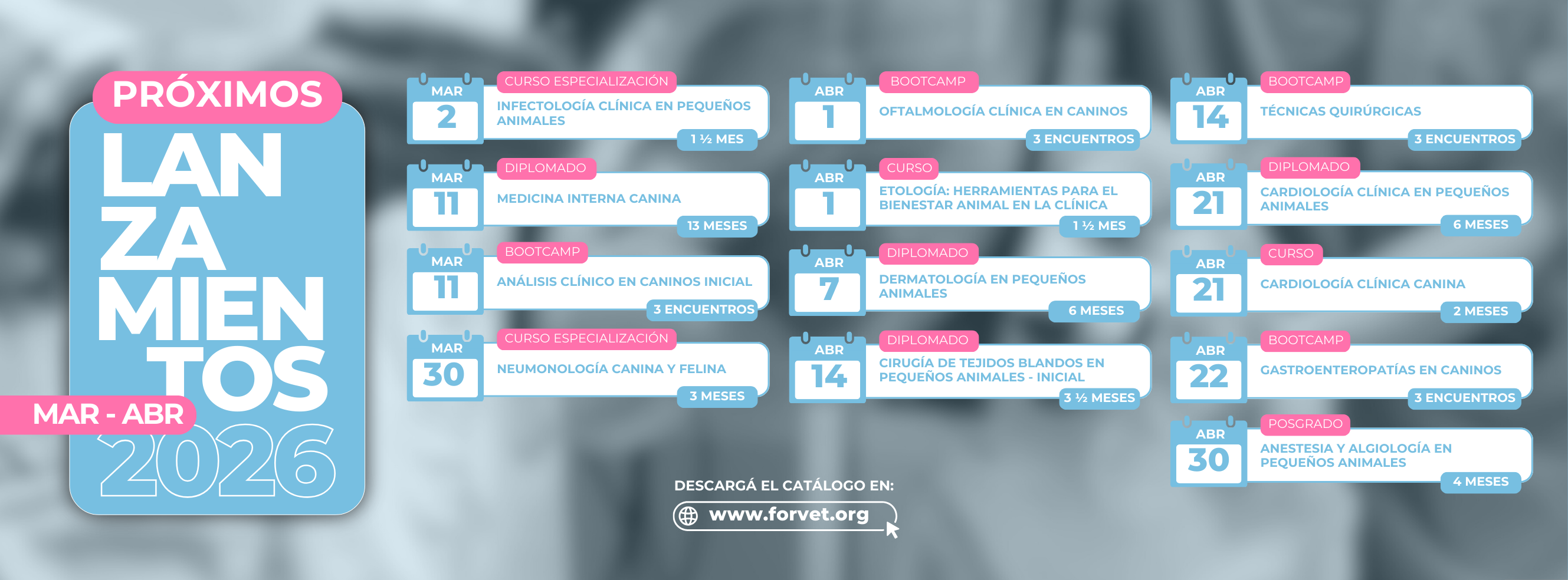 Forvet Novedades | Córdoba