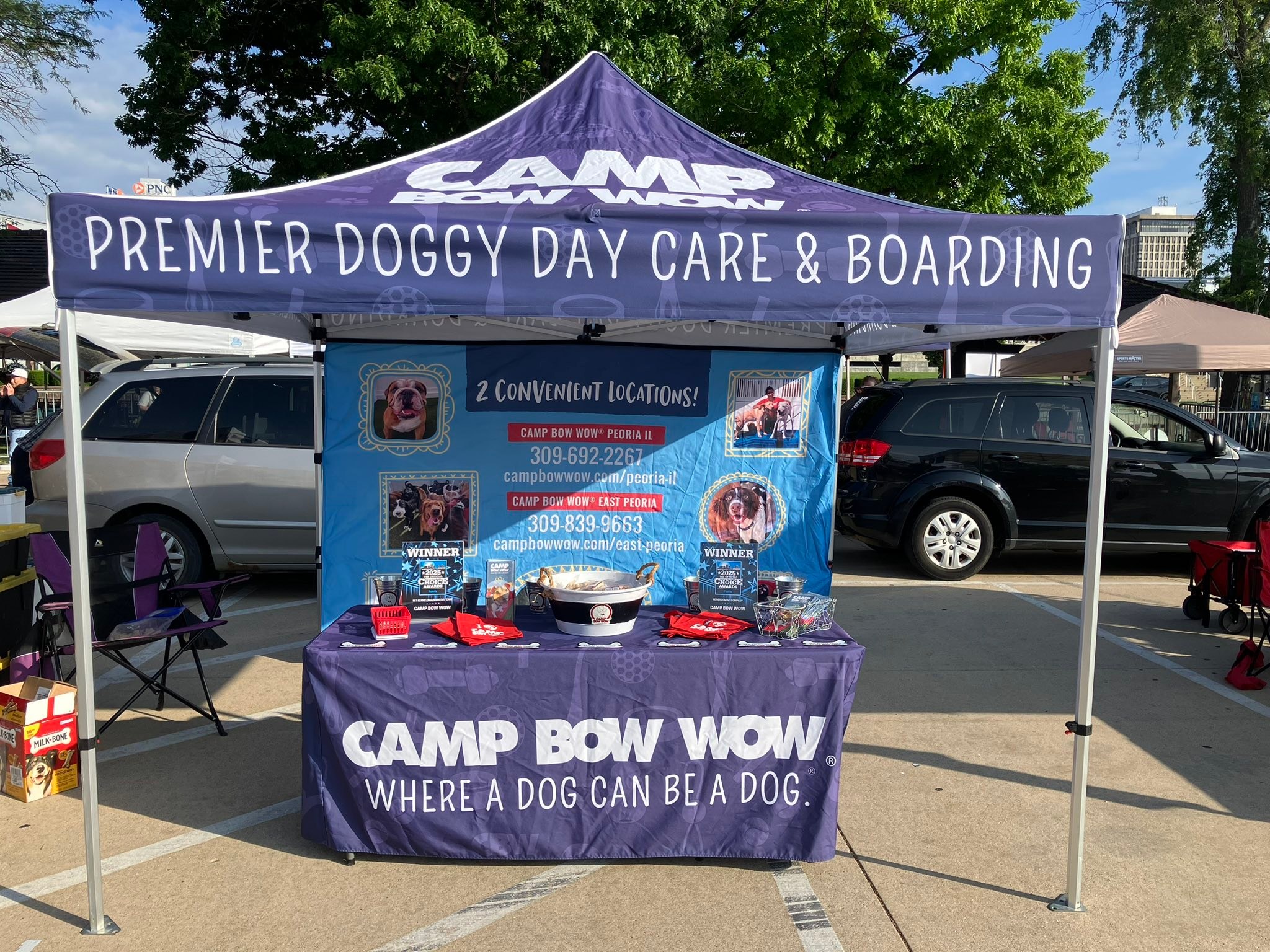 zelt anker 4X Zelt-Heringe - Länge: 30 cm, Breite: 2,5 cm - T-Profil | Heringe | Erdnägel PINEWOOD® Thin Liner Handschuh, SIZE:30′ X 60′ Fahrradrucksäcke