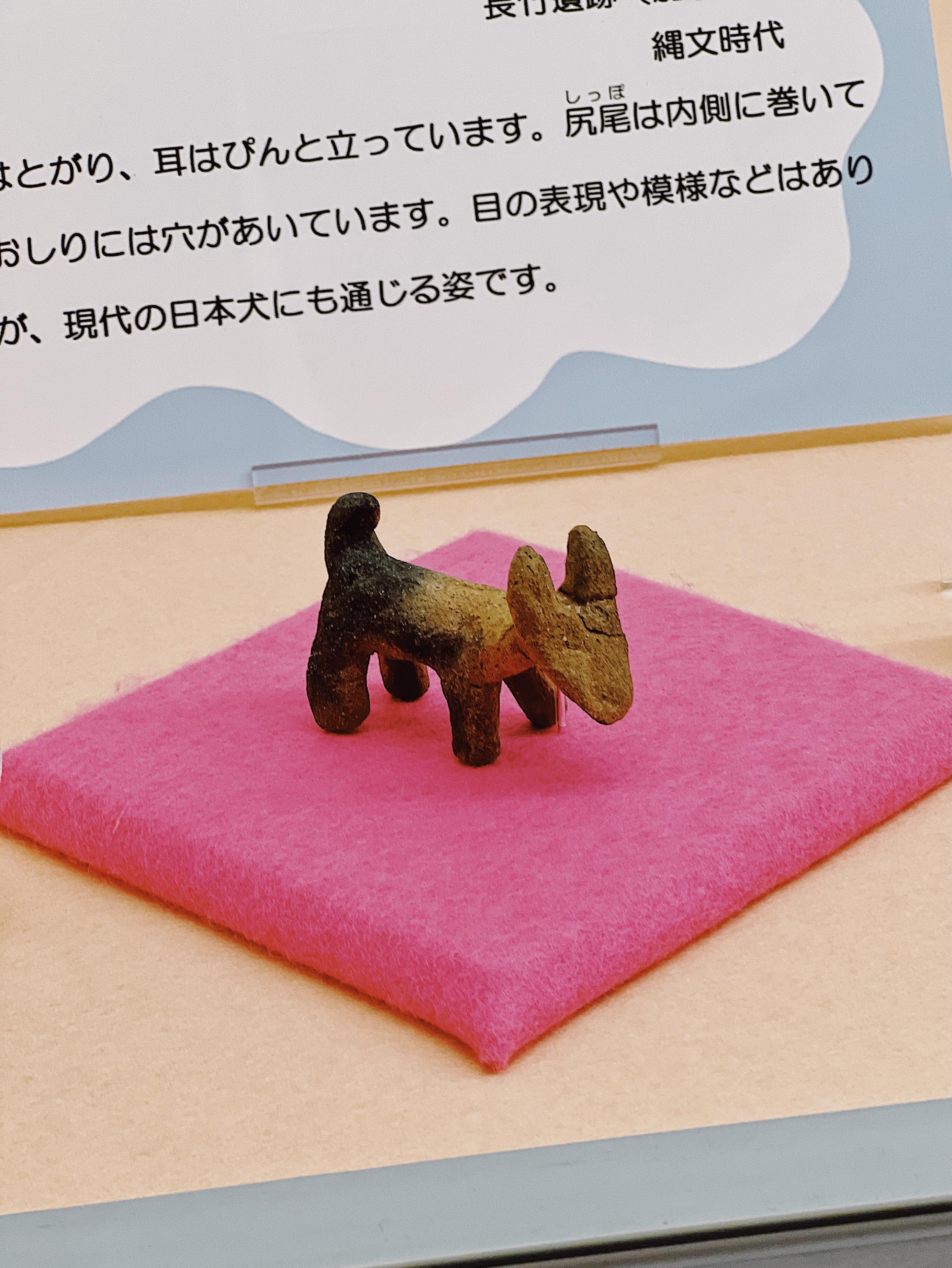 実際は珍しいケースではあるけど、埋設された土器の中に石棒が入れられ