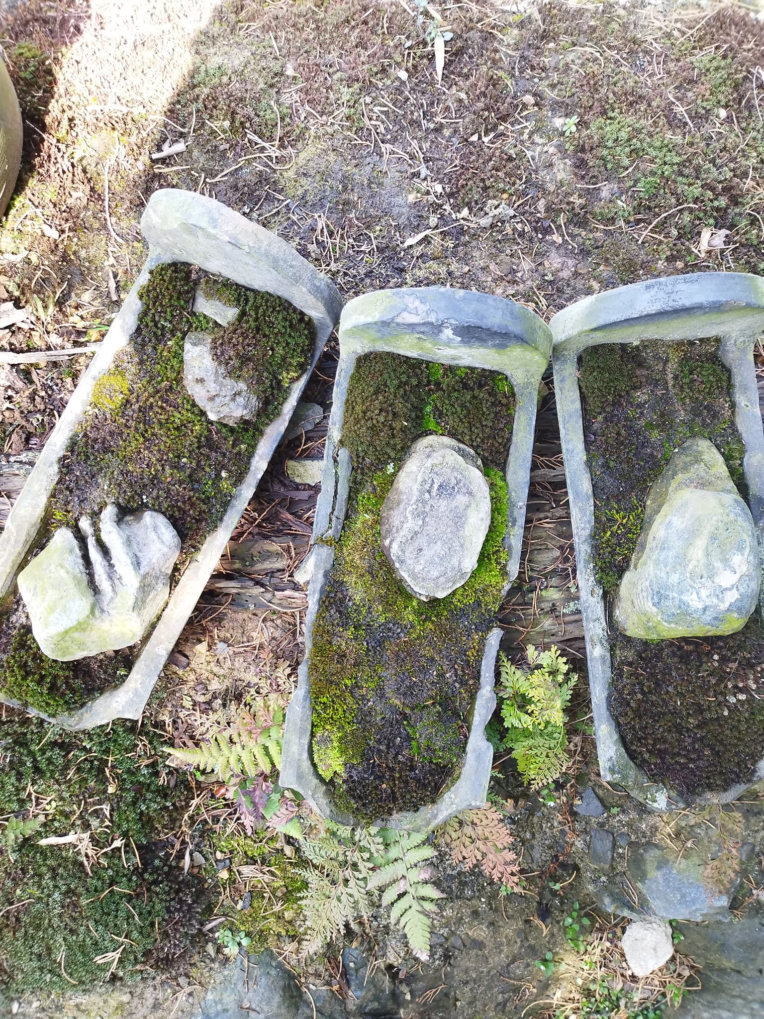 苔と石の世界