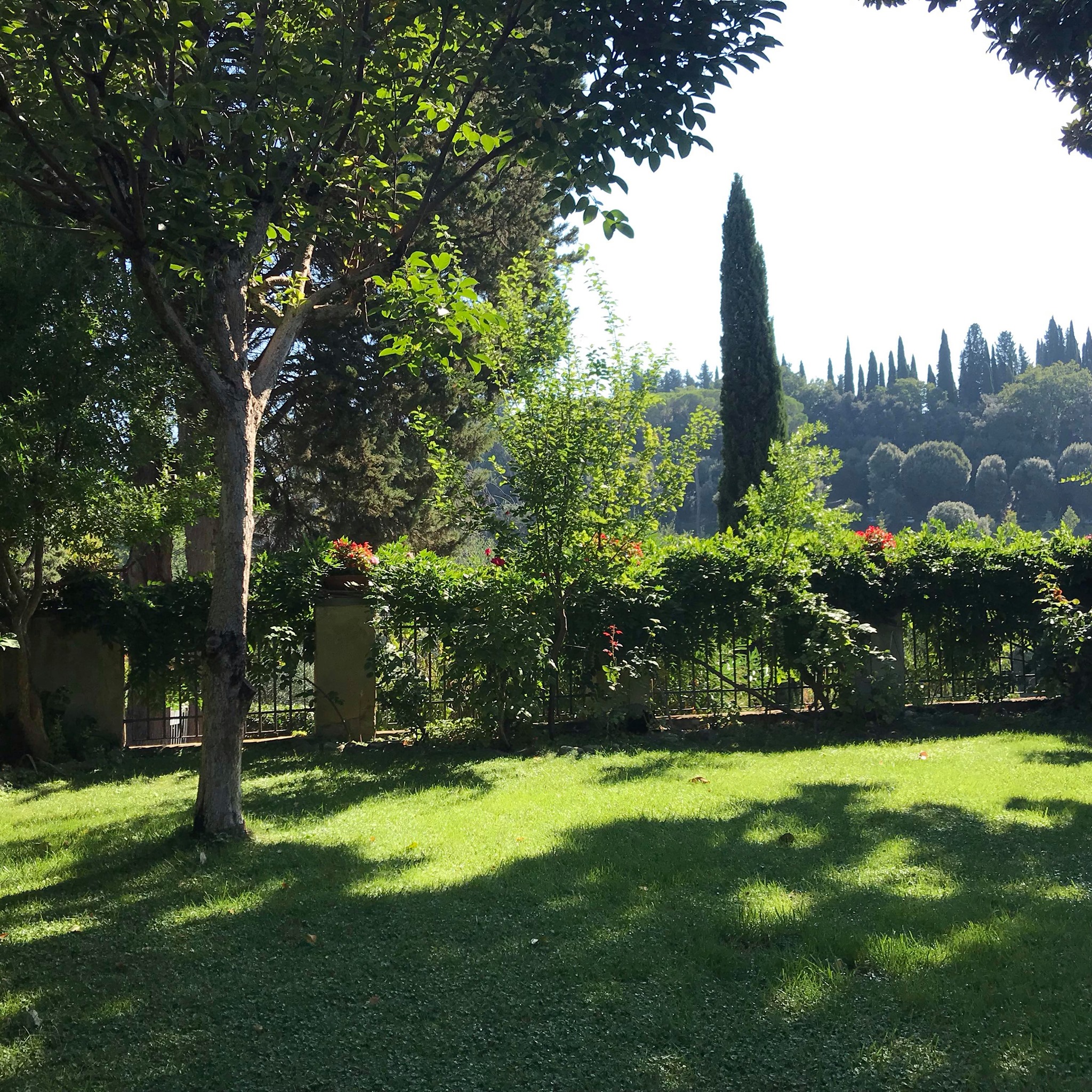 Il vero castagnaccio toscano 🍂 Farina di castagne, acqua, olio, pinoli ...