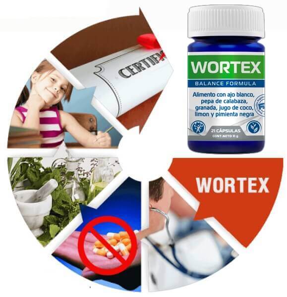 Wortex - Distribuidor genuino en Chile | Santiago