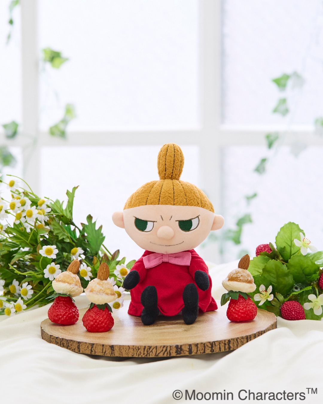 毎年大人気の「モンチッチフラワーギフト」準備中です💐！ 今年は