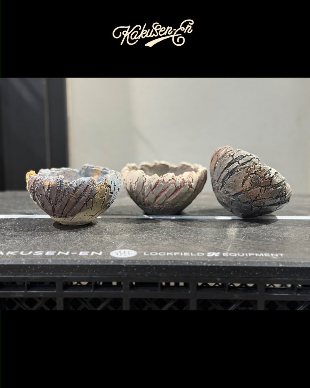三洲みやび鉢 鶴仙園クラシック Bowl 4サイズ 各10鉢 2026.07.18(土