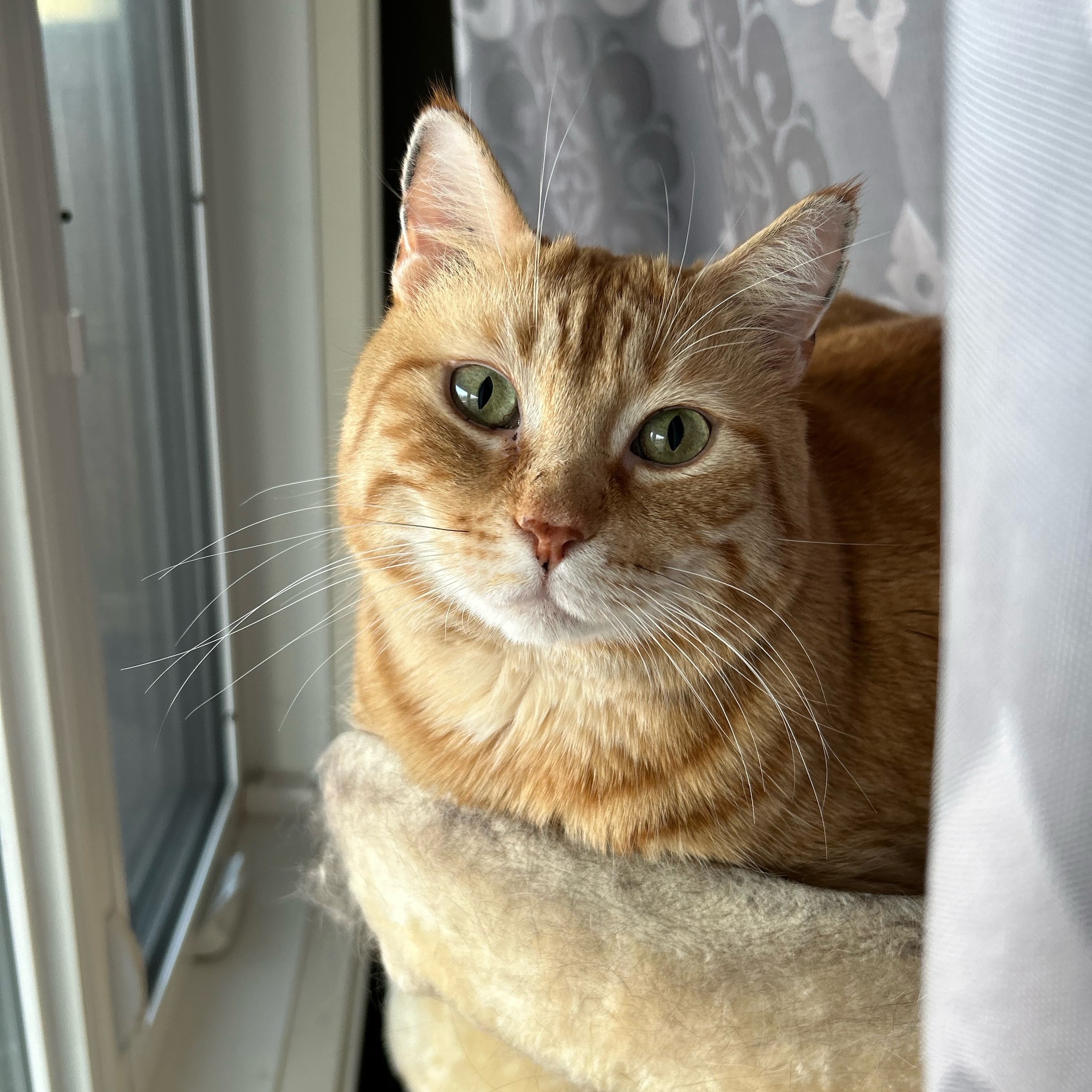 Amili - Hi, my dear IG subscribers! I’m finally back! 🥺 Lately, I’ve ...