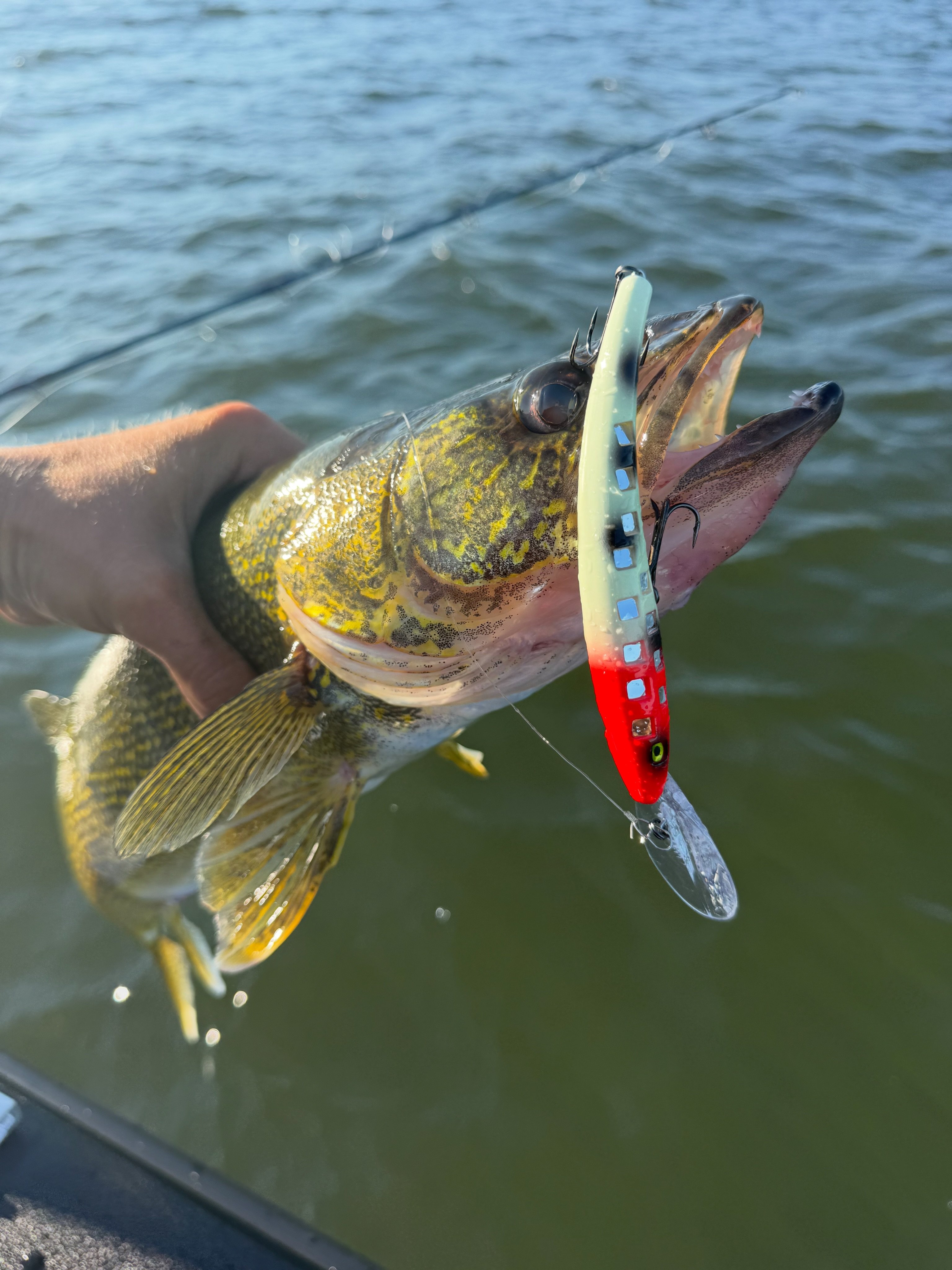 crappie fishing pole a good one Big Game – KISTLER 100M The .75 inch spool Bionic Fish Shape Metal Color:Orange Sucker Orange/Black Blades