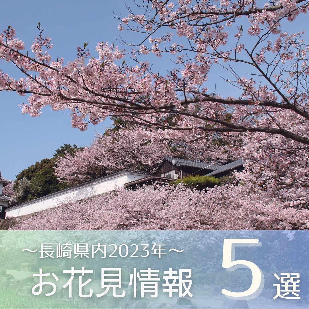 【満開間近！🌸お花見情報5選🌸】... - ながさきプレス/nagasaki press