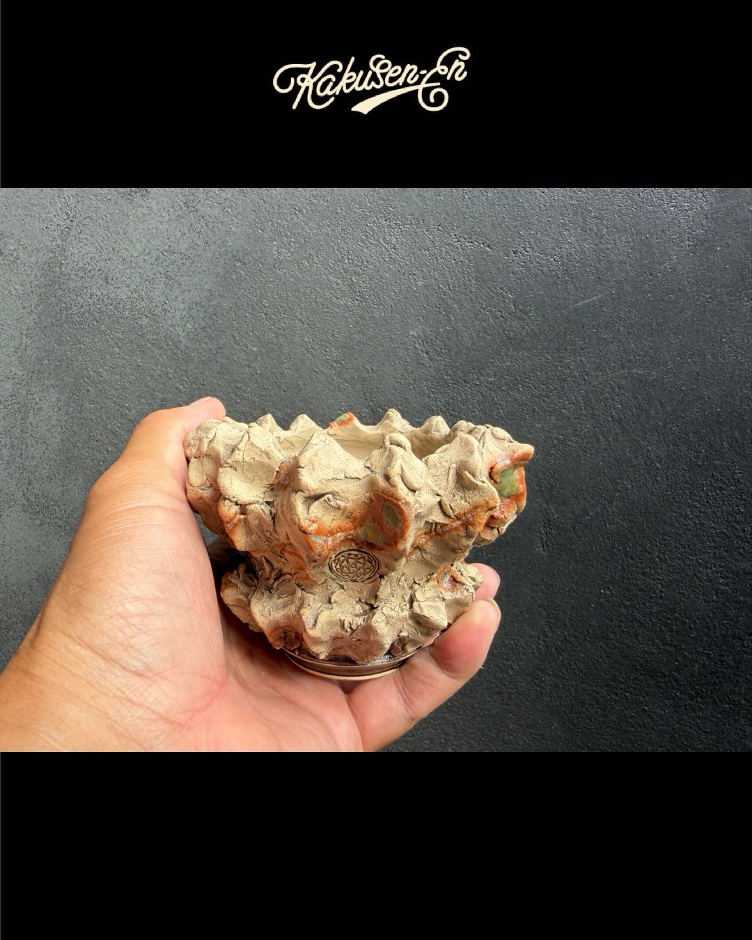 2026.09.19〜 池袋店一周年 Collaboration items Ryuhoou plant pot