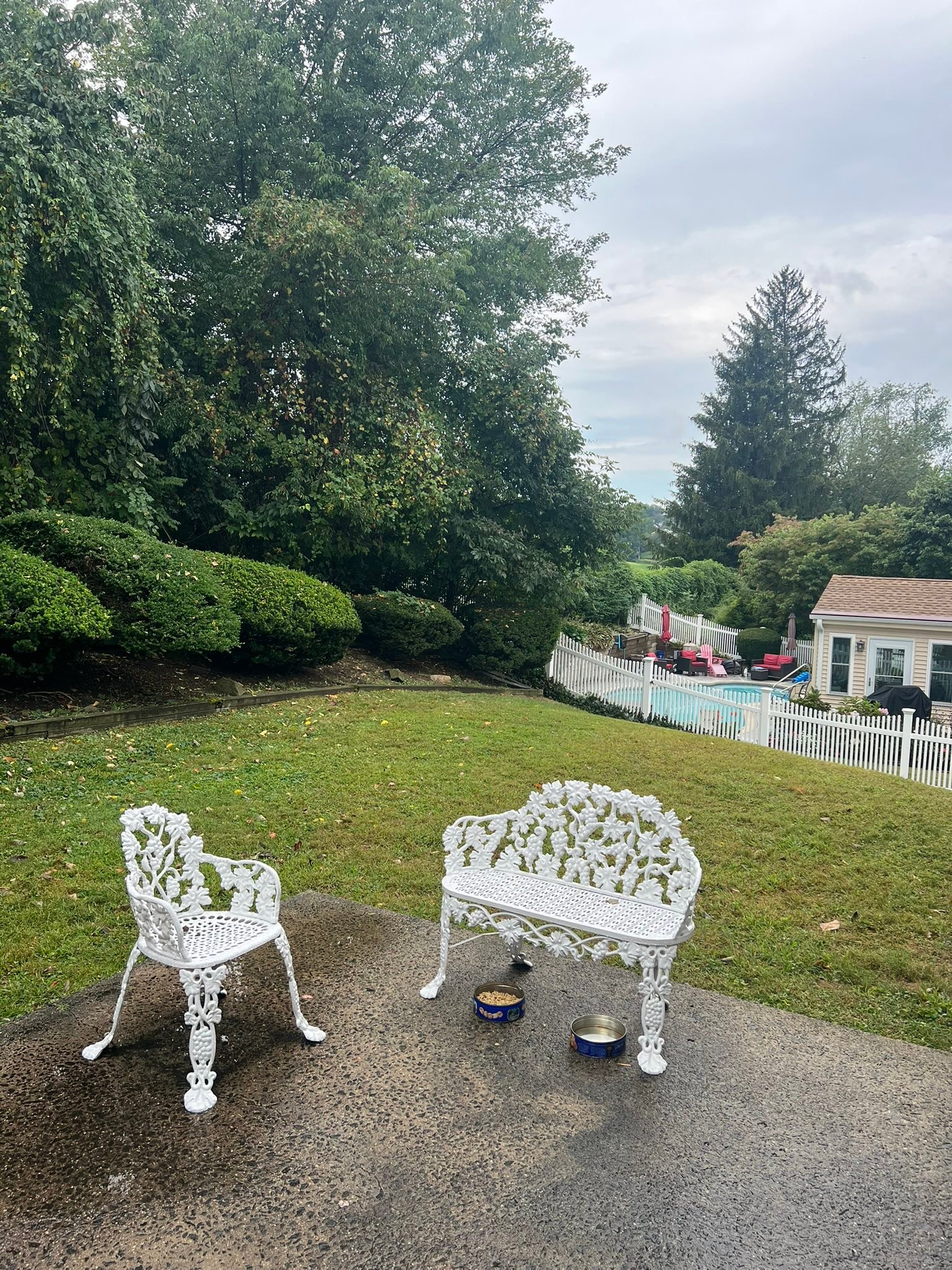 Kim Razzano Realtor | Wayne PA
