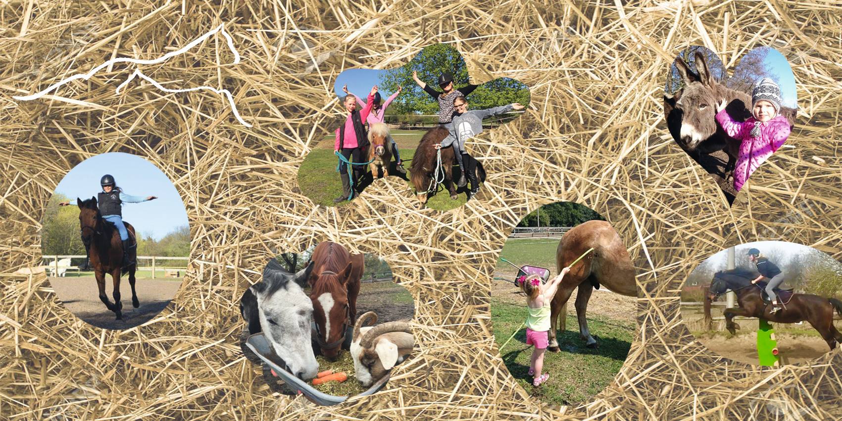 Sommerferien Ponyhofcamp 2016 Home Facebook
