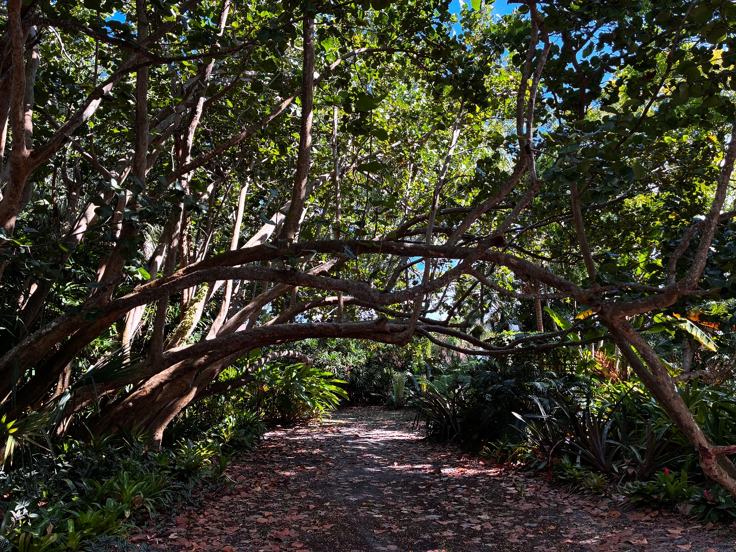 Heathcote Botanical Gardens | Fort Pierce FL
