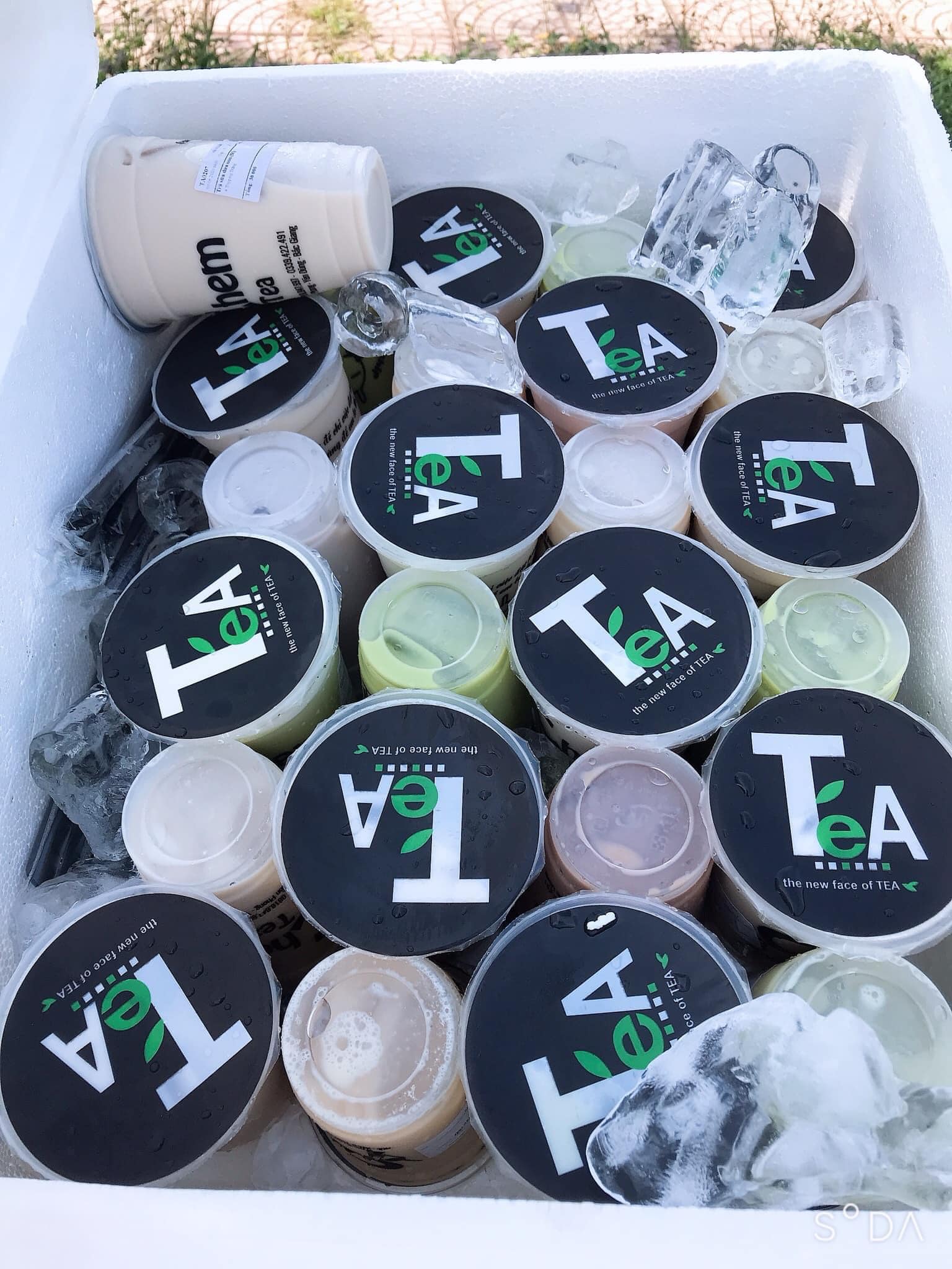 Chem Tea - km8 Tiền Phong