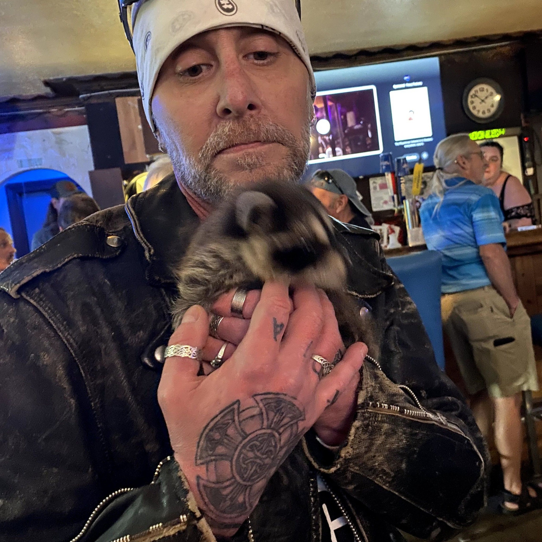 Mississippi Snake Forums and Identification Page | I am guessing these ...