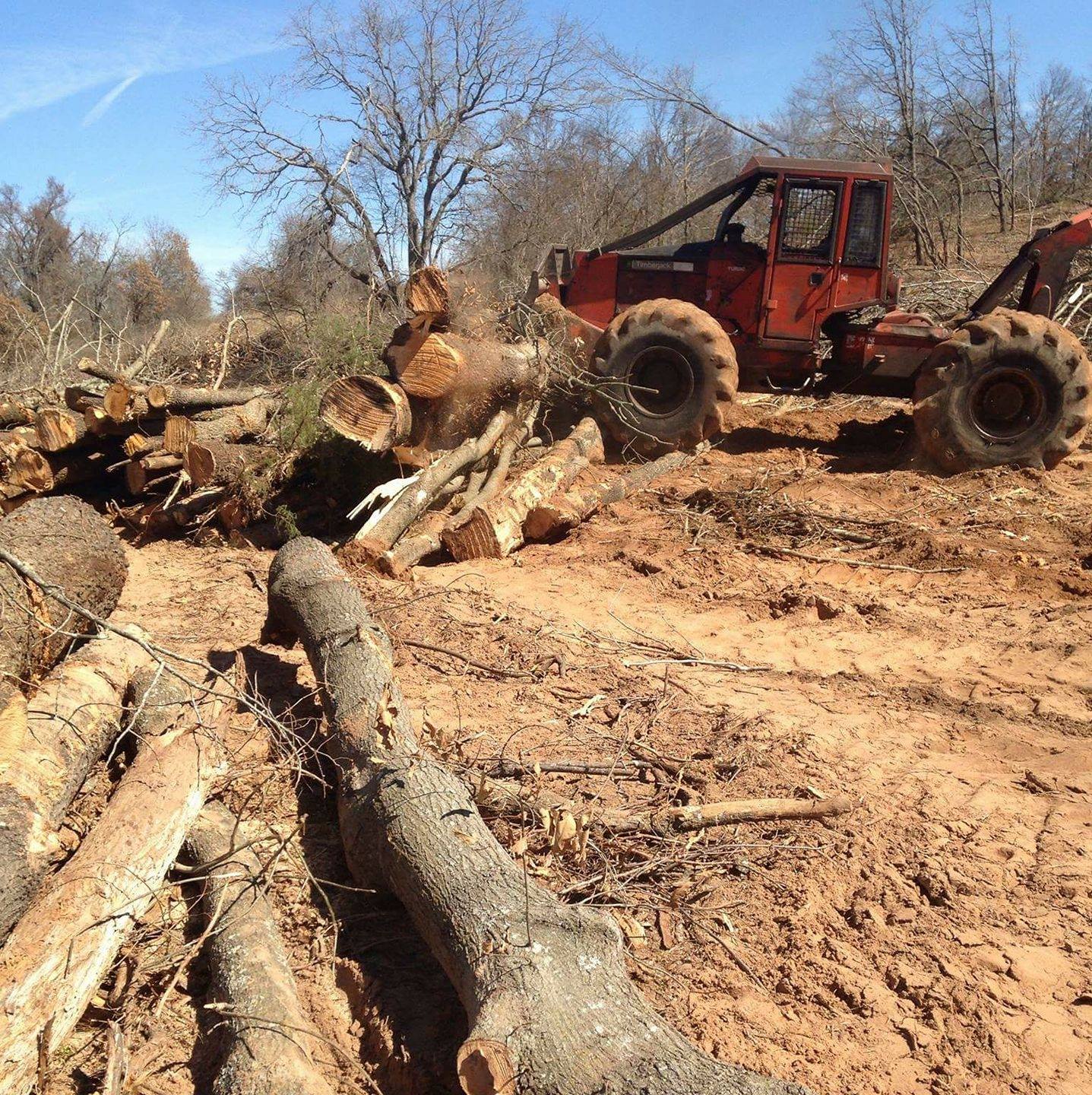 Allen and son logging