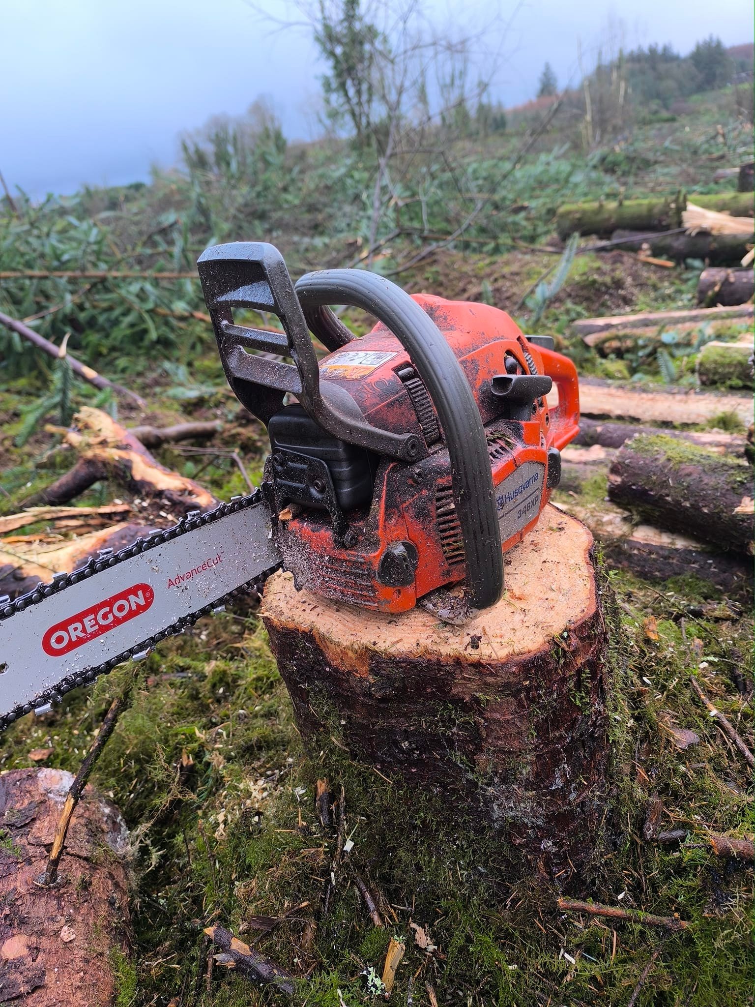 One of the best small saws ever made the mighty 346XP almost 20 