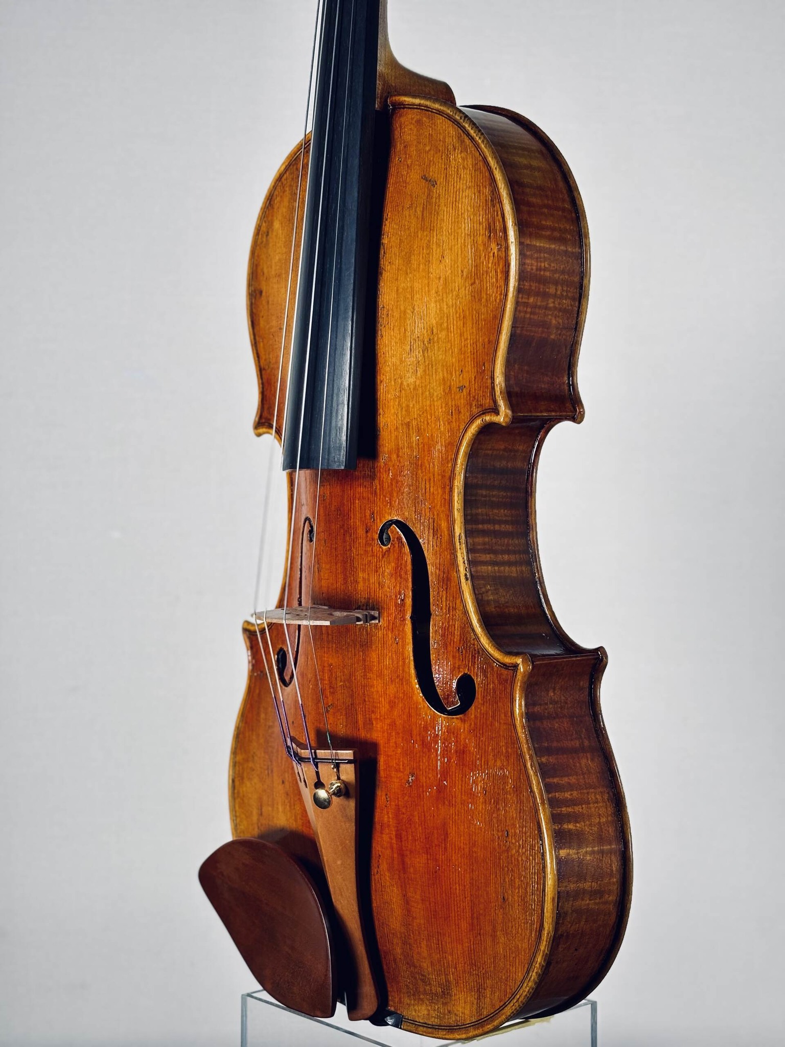 島村楽器 - The latest 2026 violin by Kenji Miyagawa (Italy