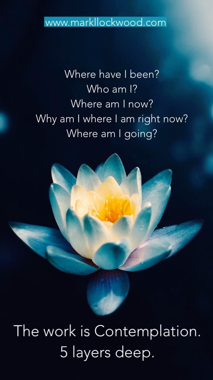 Trauma and Contemplative Practice | Practice the 5 Contemplative Life ...