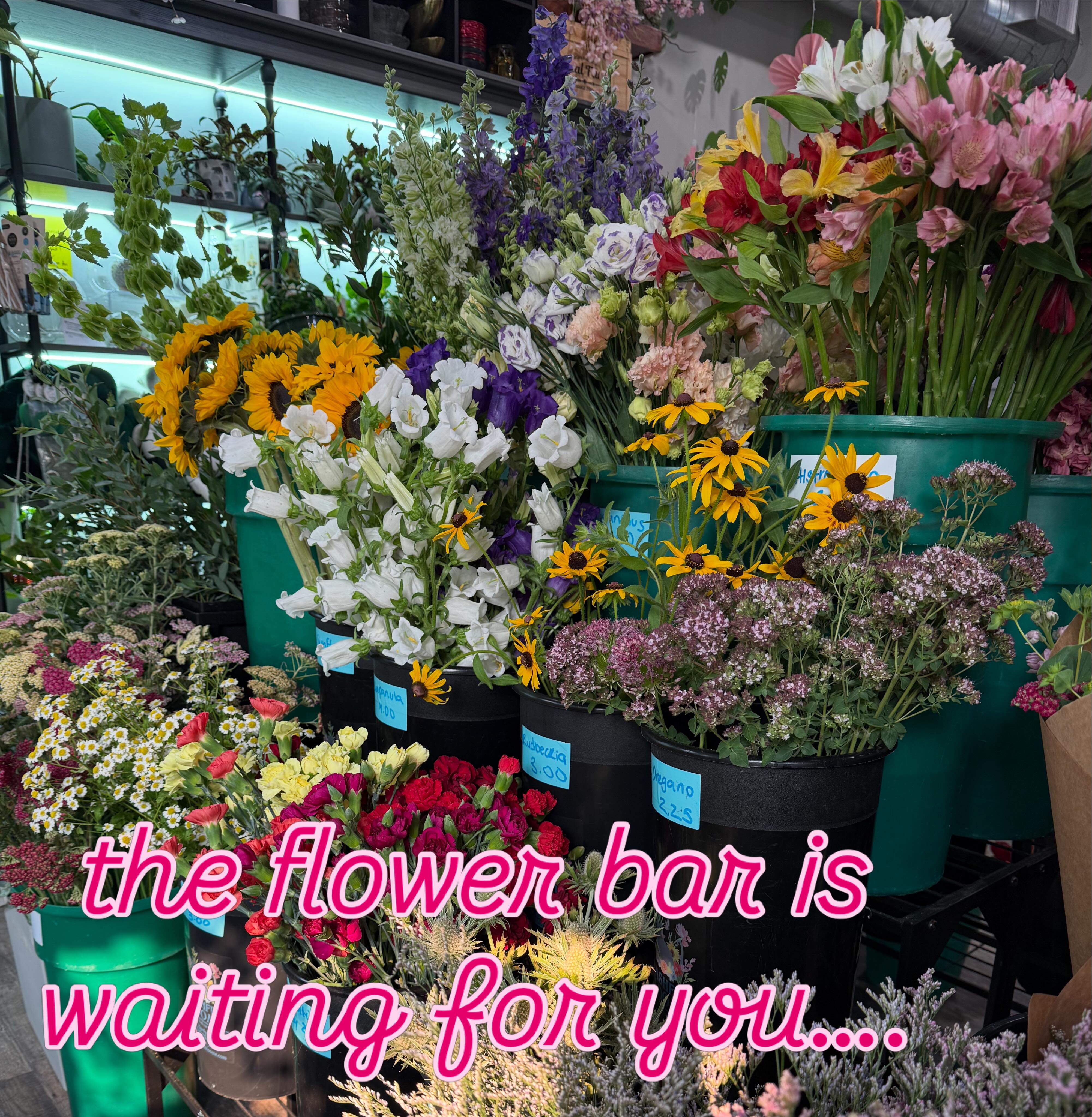 その他 Bashful Bloom sign Bashful Blooms | Milford PA