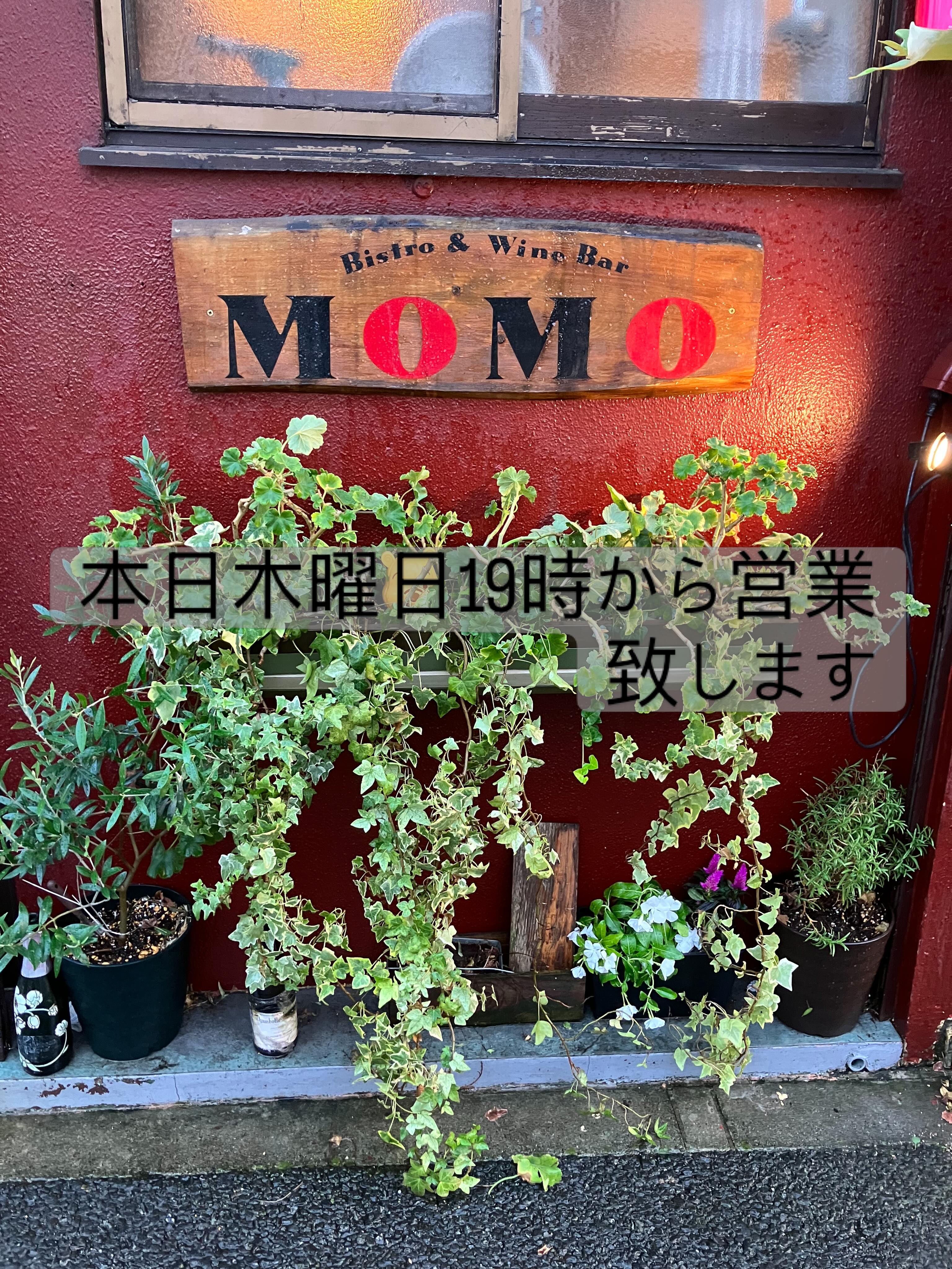 Bistro & Wine Bar MOMO | Setagaya-ku Tokyo
