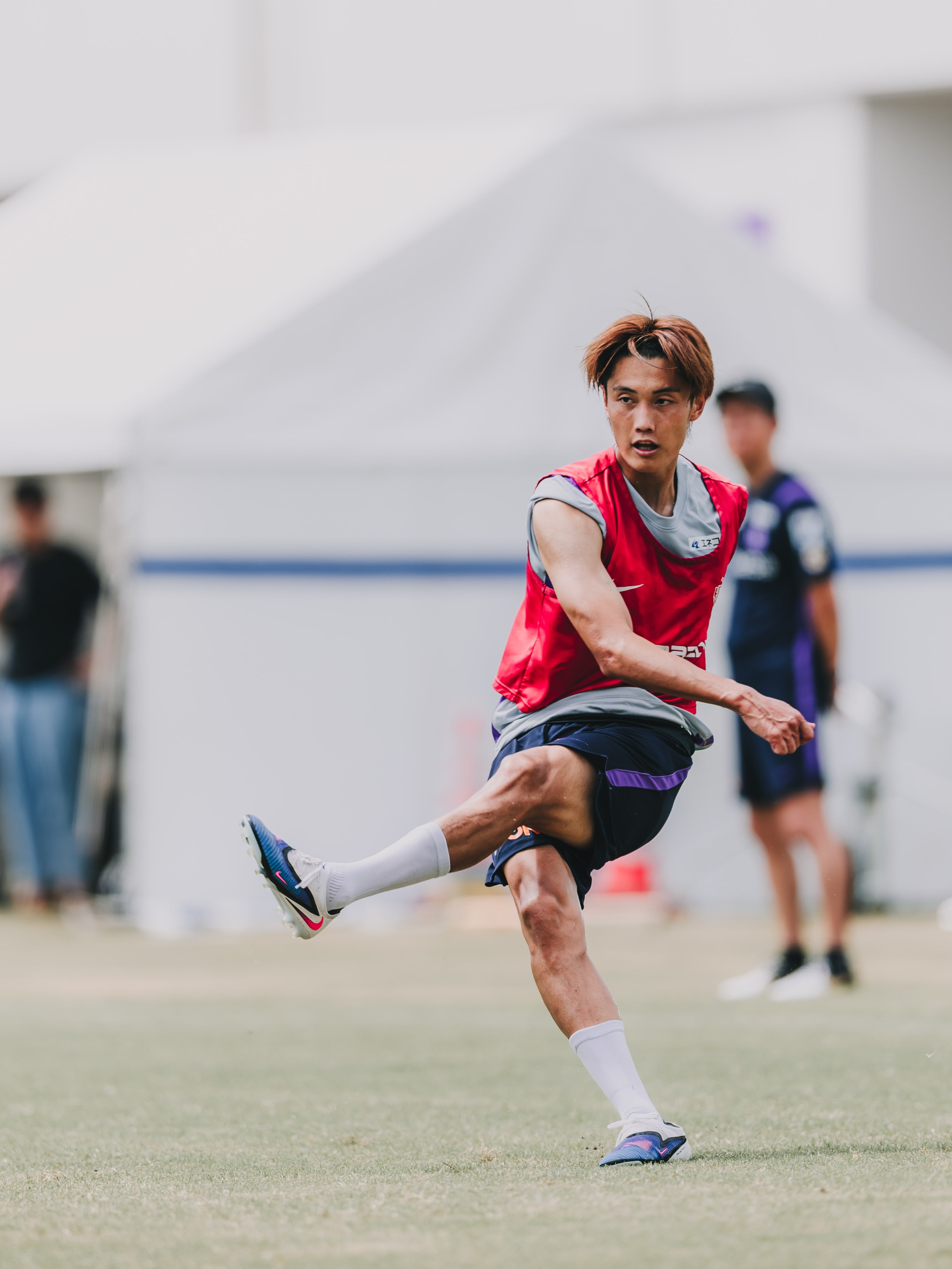 サンフレッチェ広島｜SANFRECCE - このたび、サンフレッチェ広島所属の