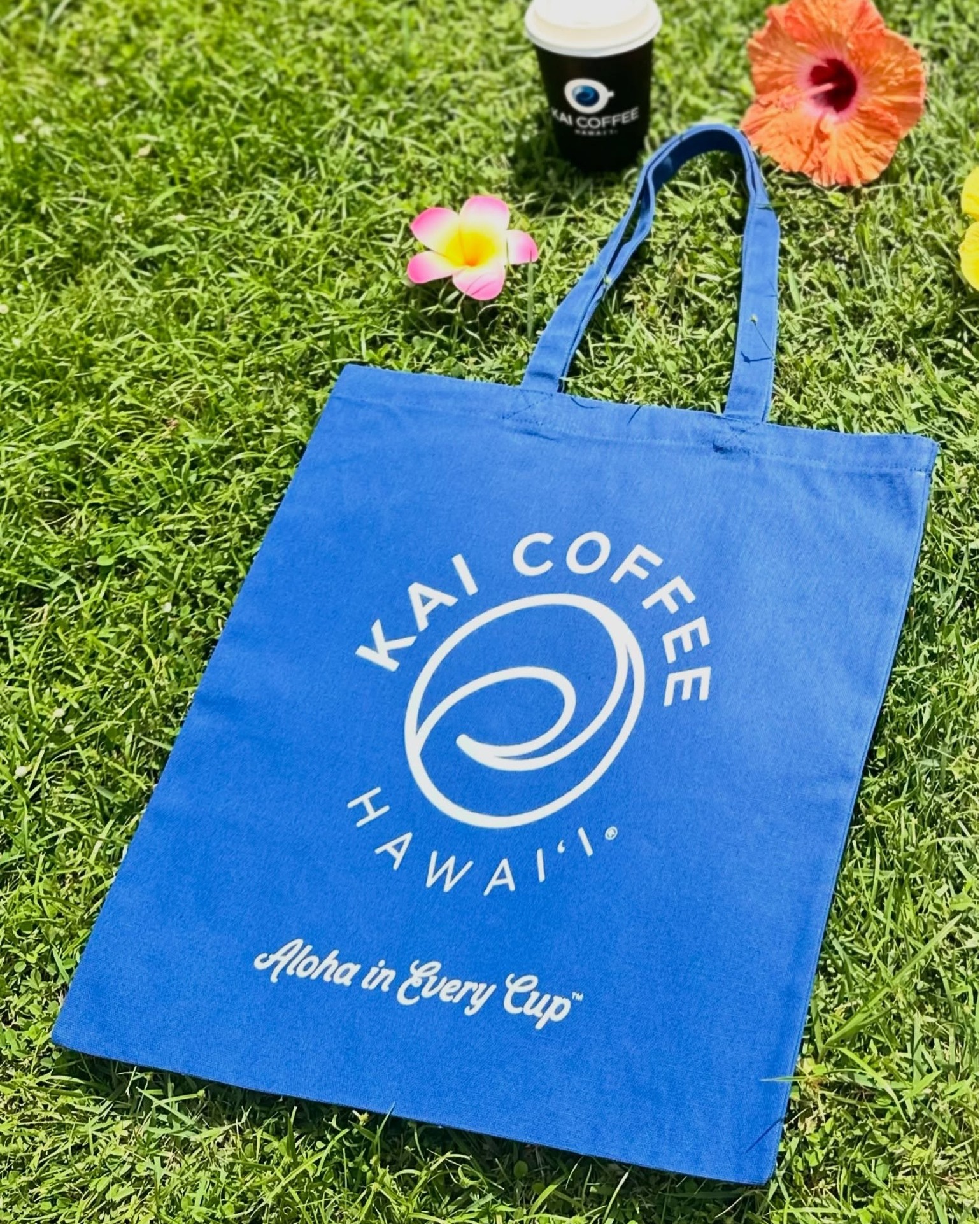 🌺サンリオファン必見！🌺 ハワイ限定のチョコキャットが登場
