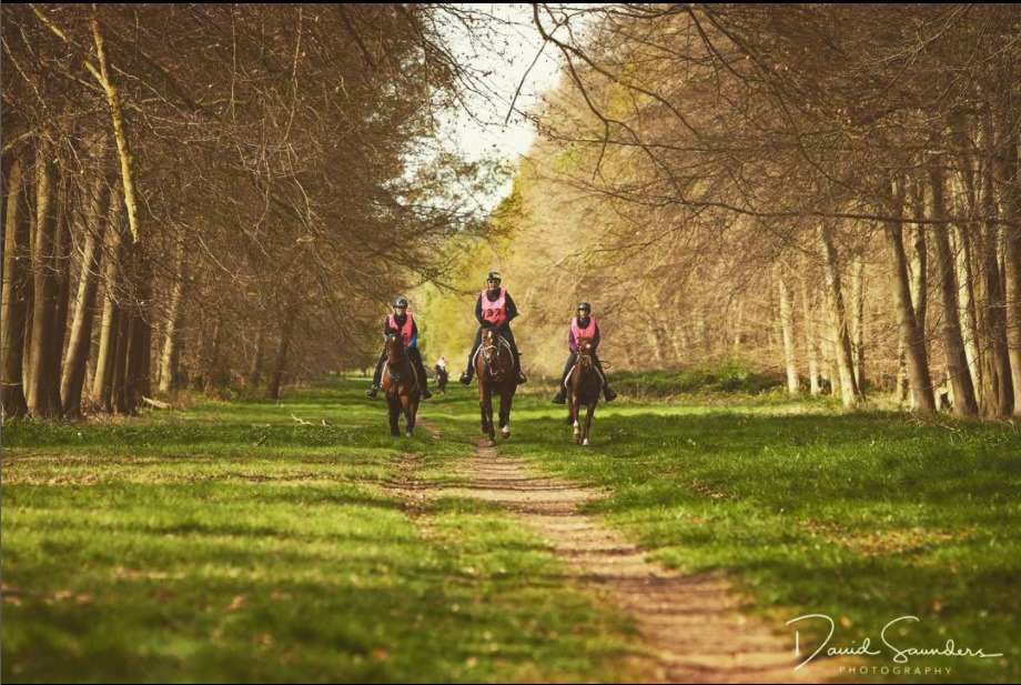 Kings Forest Endurance Ride | Bury St. Edmunds