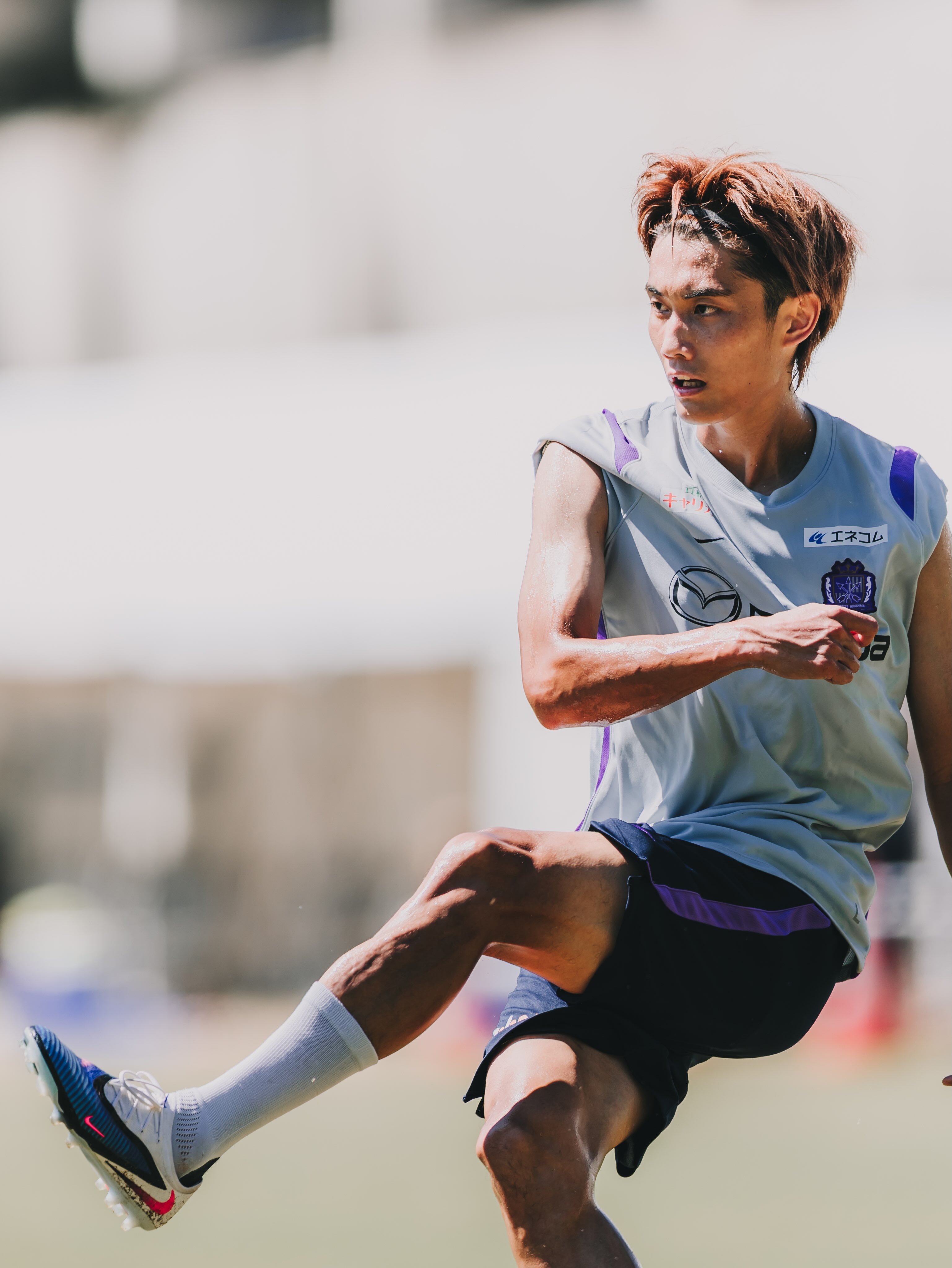 サンフレッチェ広島｜SANFRECCE - このたび、サンフレッチェ広島所属の