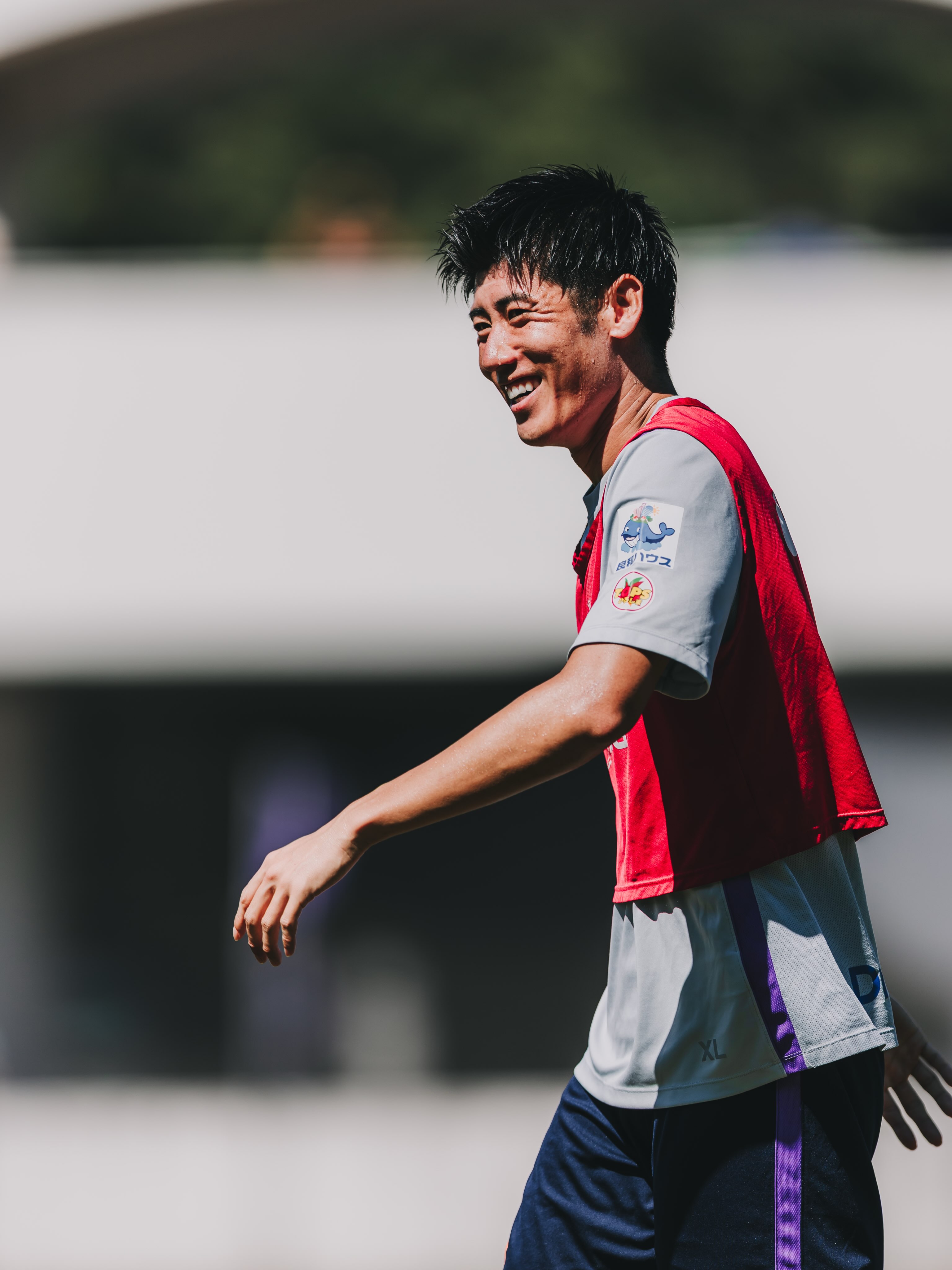 サンフレッチェ広島｜SANFRECCE - このたび、サンフレッチェ広島所属の