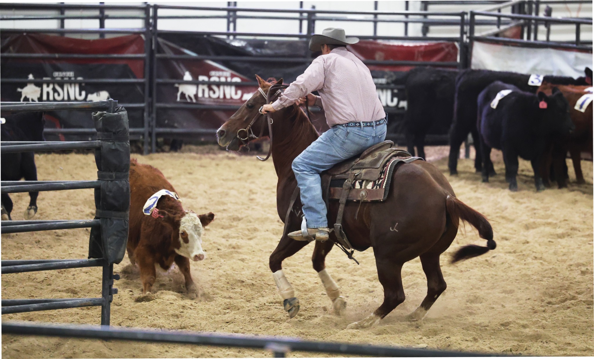 Ranch... - Ranch Sorting National Championships (RSNC)