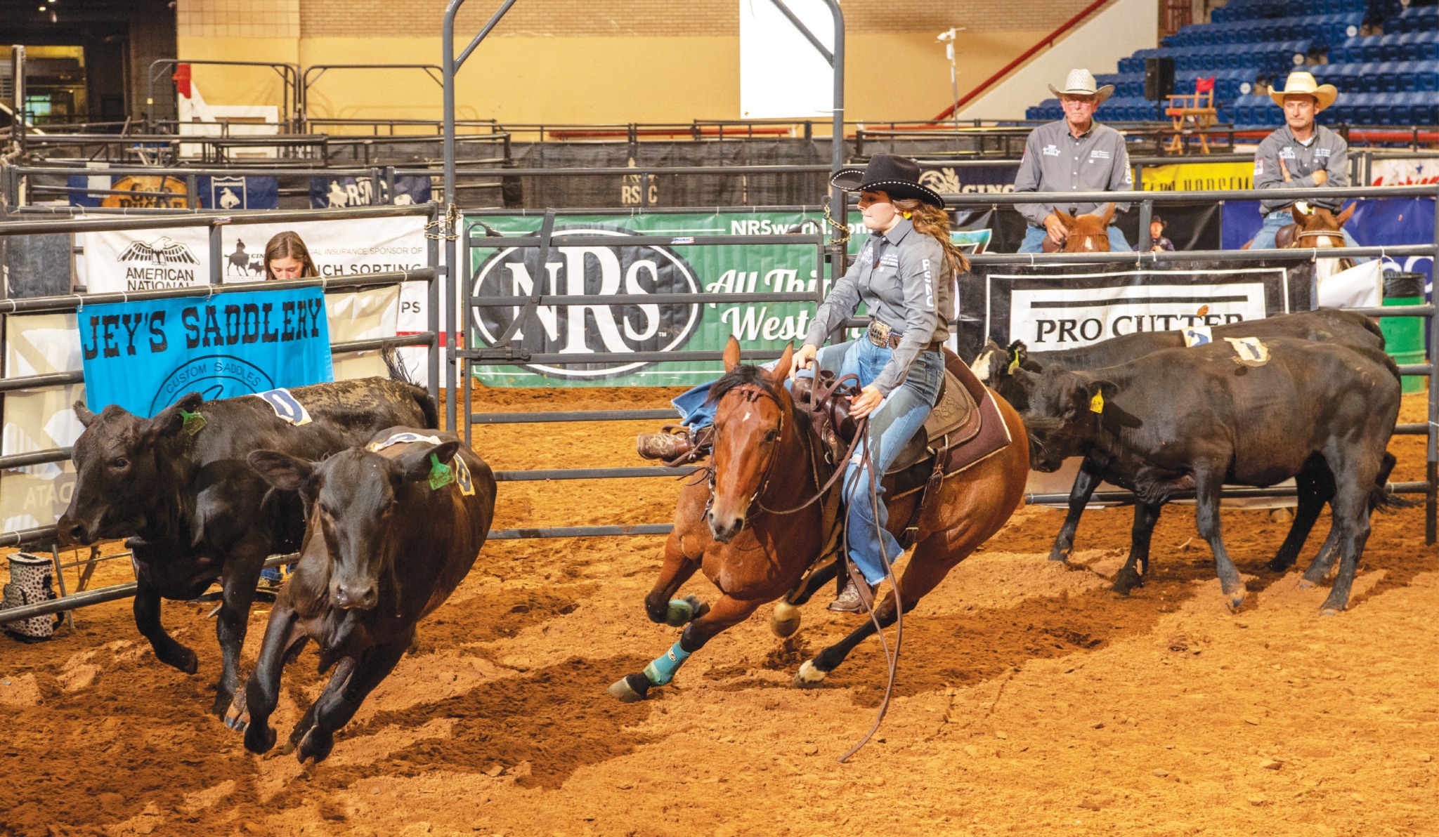 Ranch... - Ranch Sorting National Championships (RSNC)