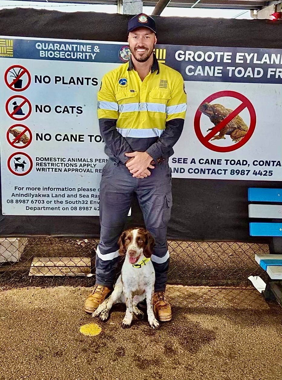 Anindilyakwa Land & Sea Rangers - 🐾Meet our new cane toad detection dog ...