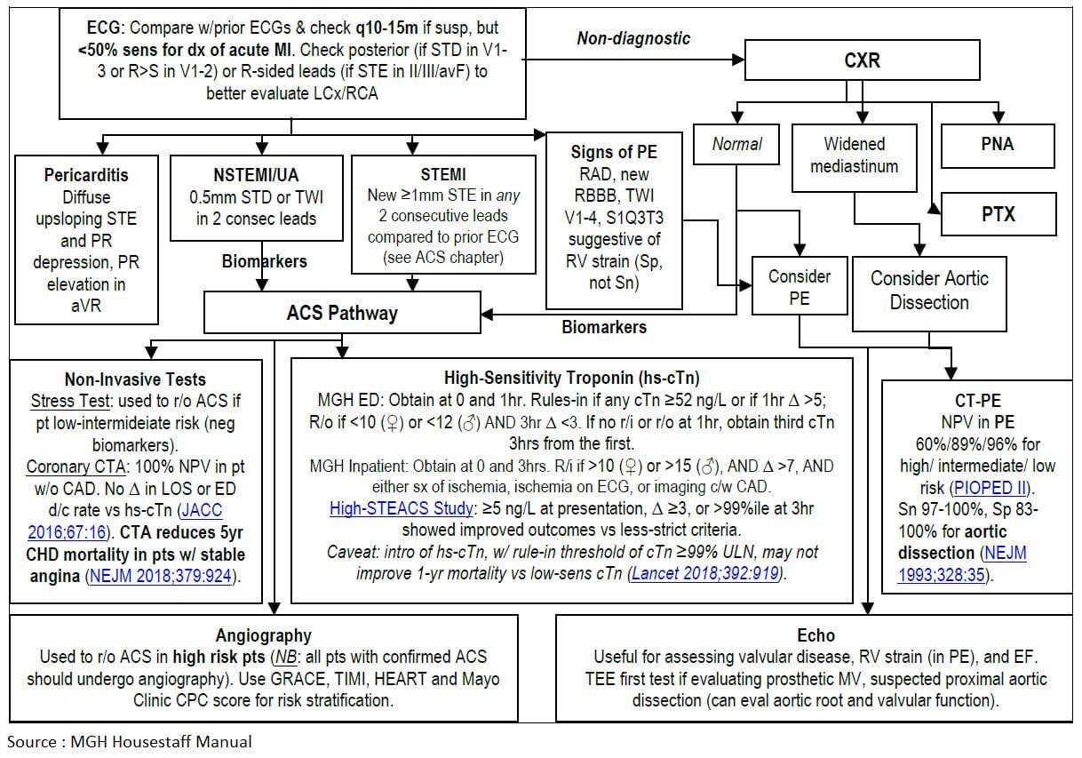 DocToon - Chest Pain Algorithm 👇👌