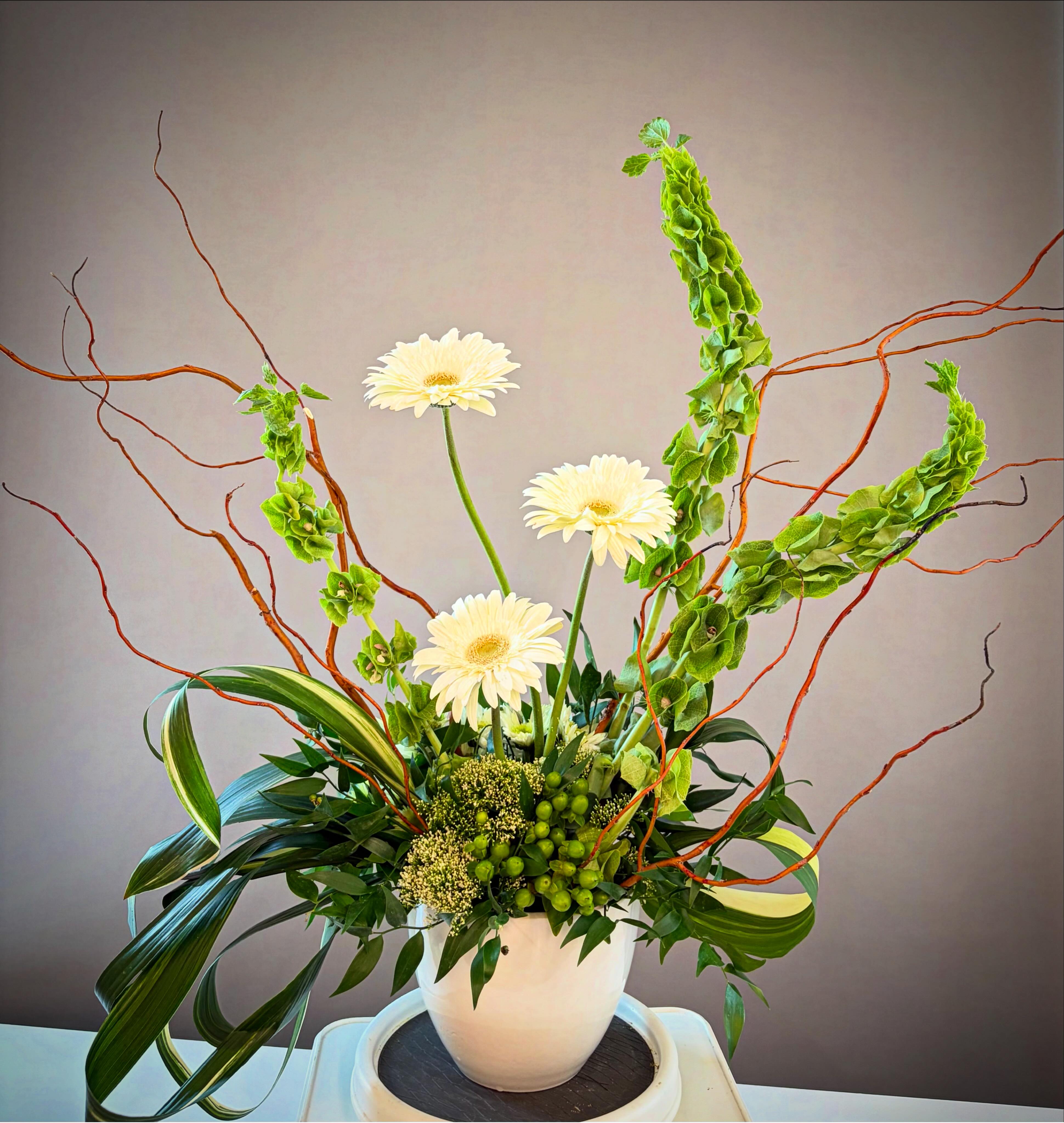 Bashful Blooms | Milford PA