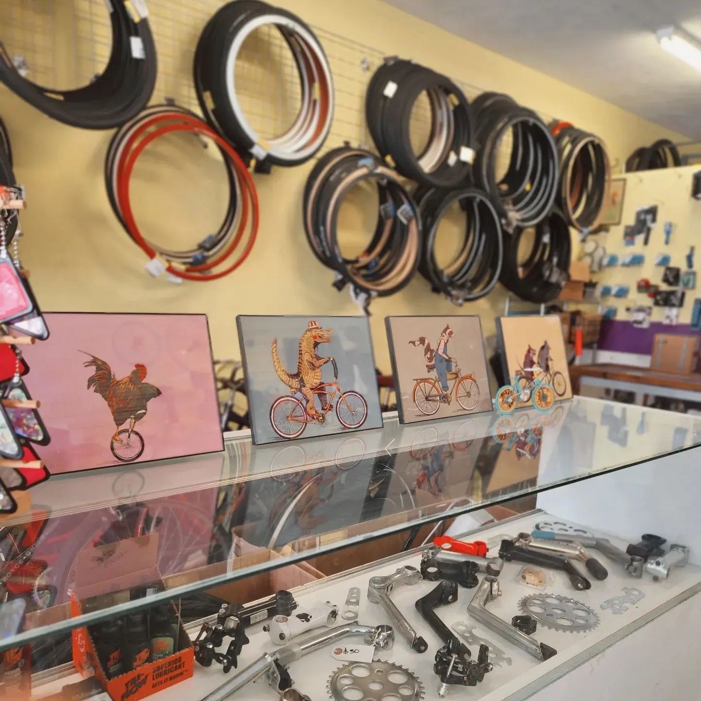 Florida animals doing their... - Sunshine Rides Bike Shop