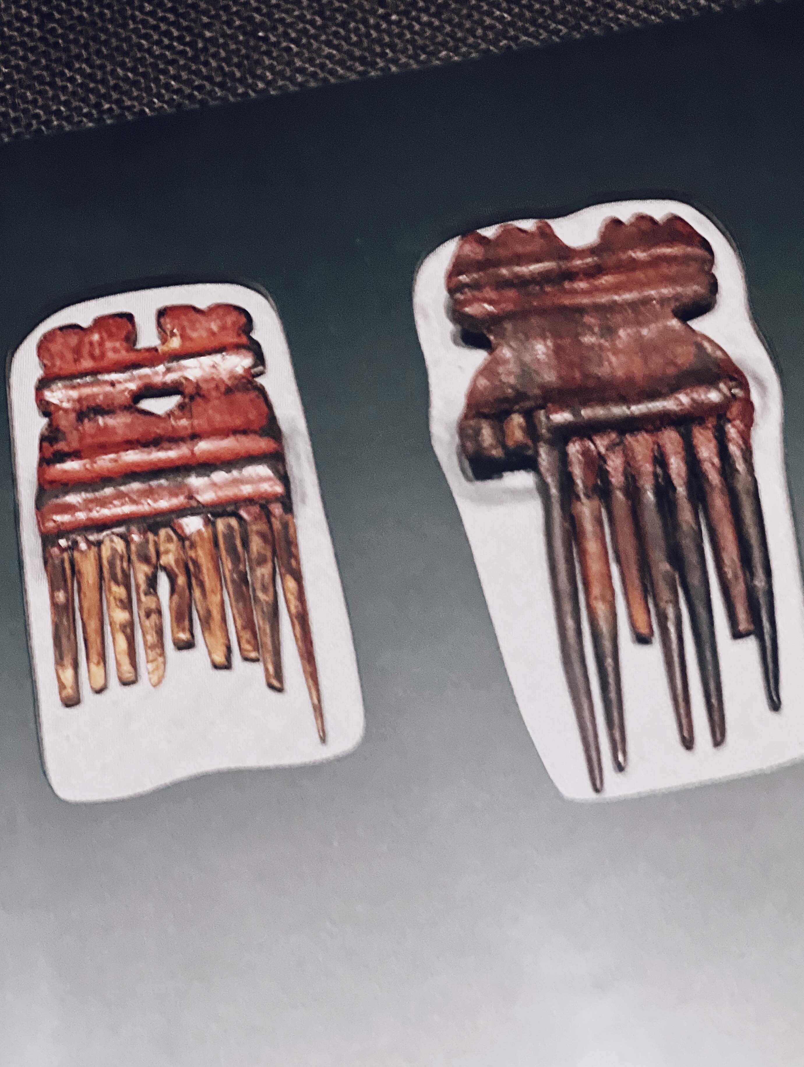 実際は珍しいケースではあるけど、埋設された土器の中に石棒が入れられ