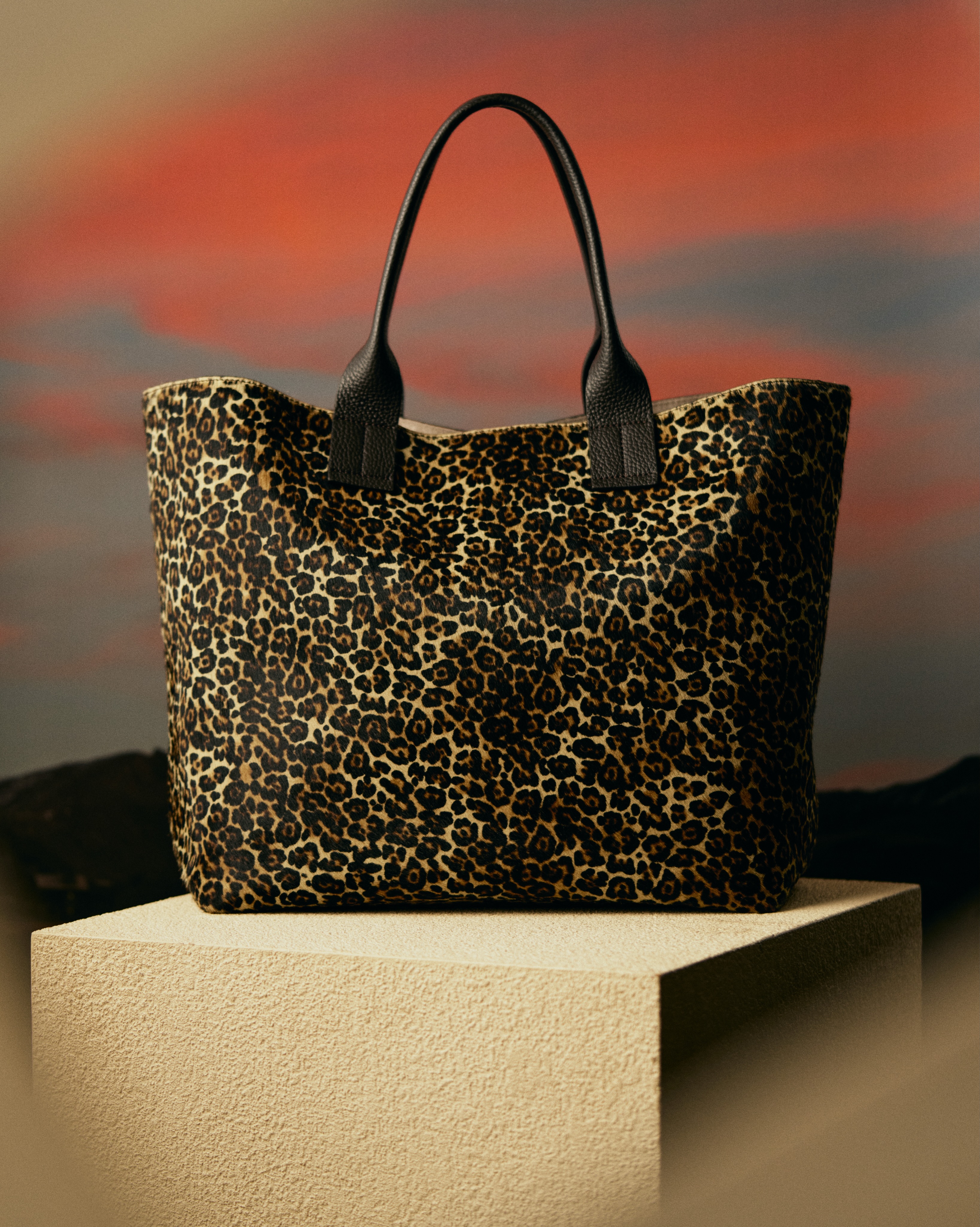 IACUCCI Japan (@iacuccijapan) • Facebook