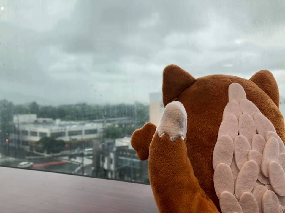 いなりん 人人人人人人人人 今日も雨だリン ｙｙｙｙｙｙｙｙ 毎日雨で気分が下がってるだリン 世間では陽性率4割だとか暗いニュースばっかりだリン みんなに明るいニュースを届けれるようにボクができる事からコツコツ頑張っていくだリン