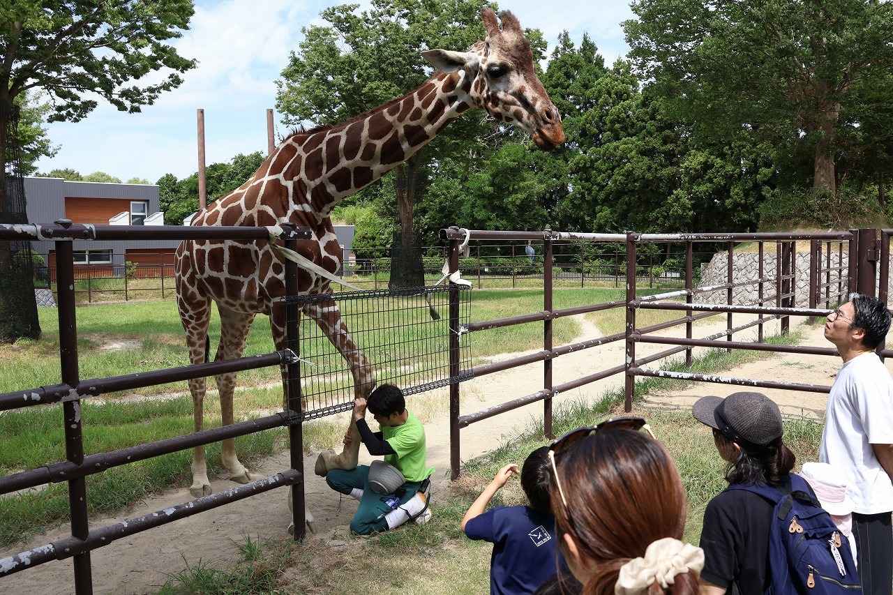 大 森山 動物園