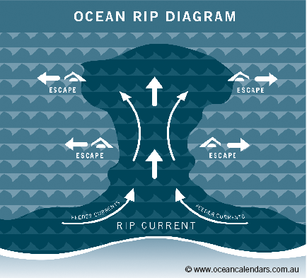 RIPS and DROWNINGS Drownings... - Ocean Calendar Tide Charts