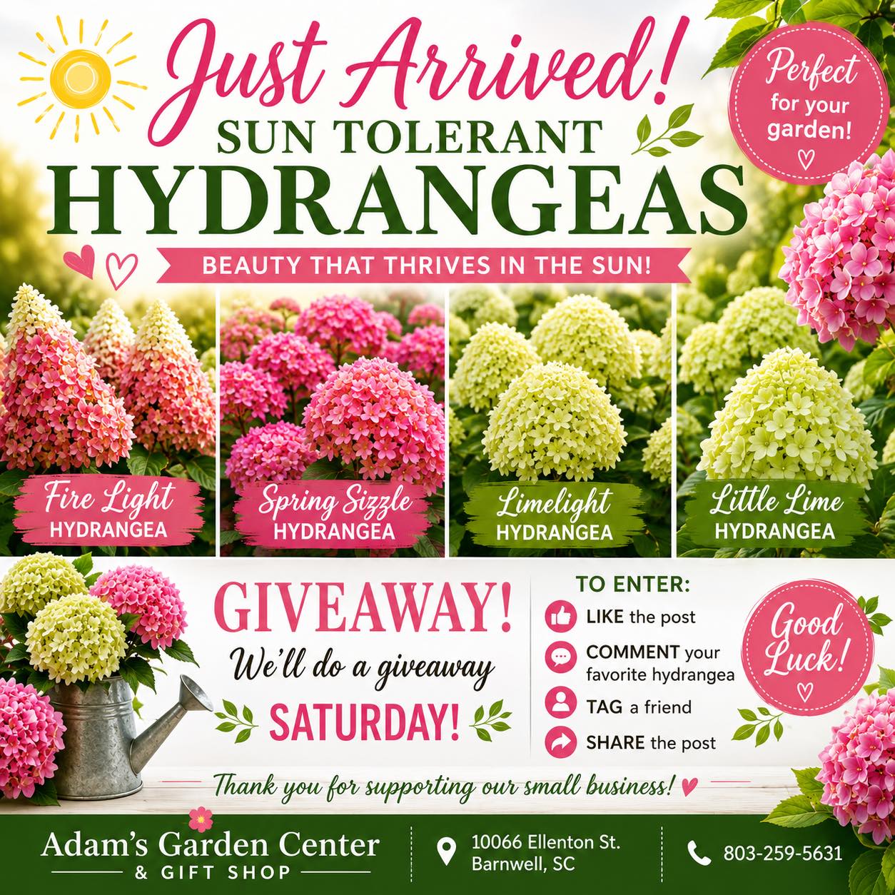 Which hydrangea is your favorite?
