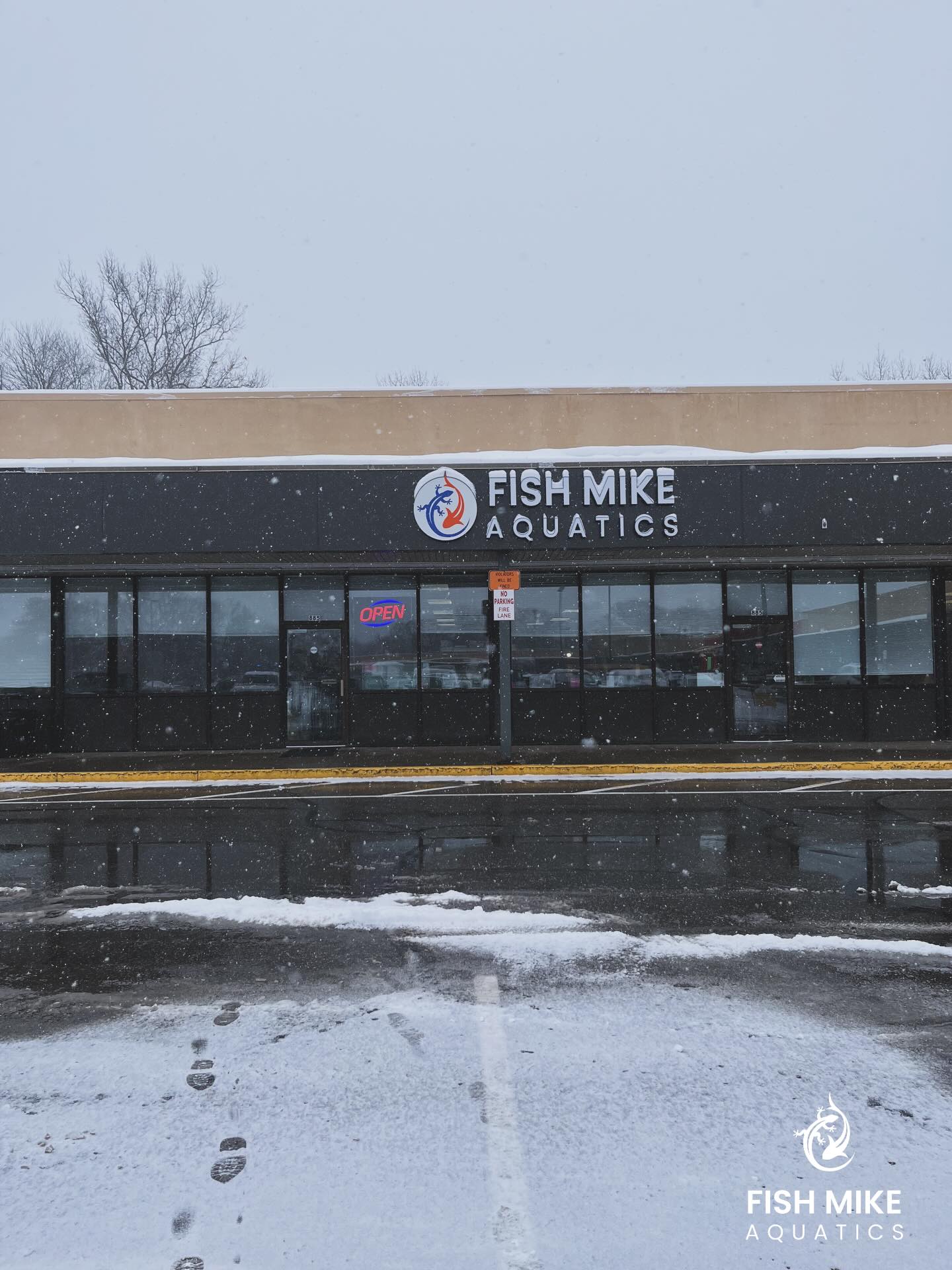 We are open! Stop by your favorite... - Fish Mike Aquatics | Facebook