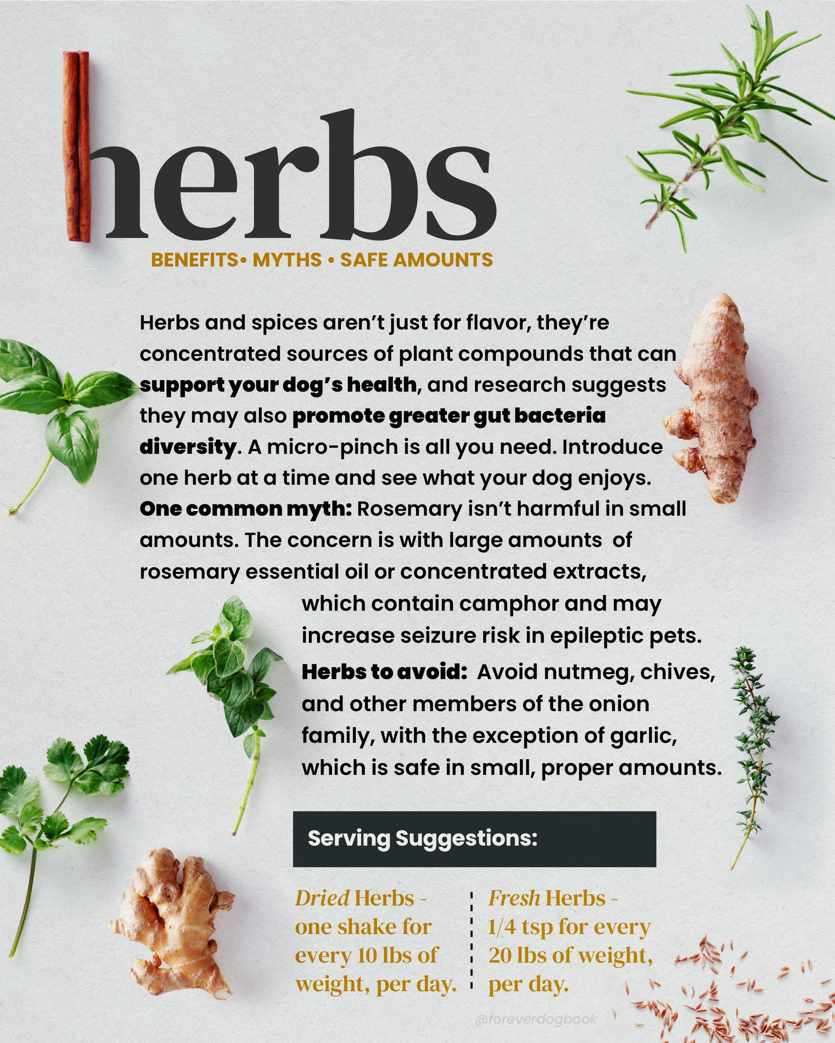 HERBS & SPICES FOR YOUR DOG's BOWL! 🌿 Here are some of our favorites: • Parsley — Supports glutathione production and antioxidant defenses. • Turmeric — Rich in curcumin, with antioxidant and