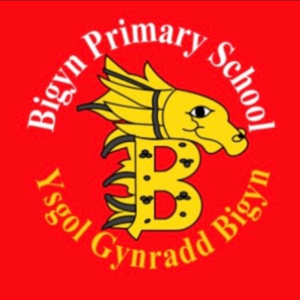 Bigyn Primary School - Llanelli