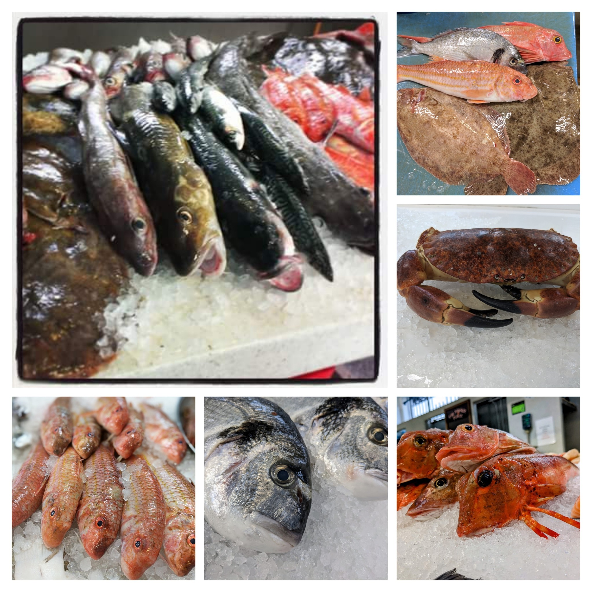 brixham fish box delivery Catch of the Day Regular Box (10 portions) Brixham fish market has 43m