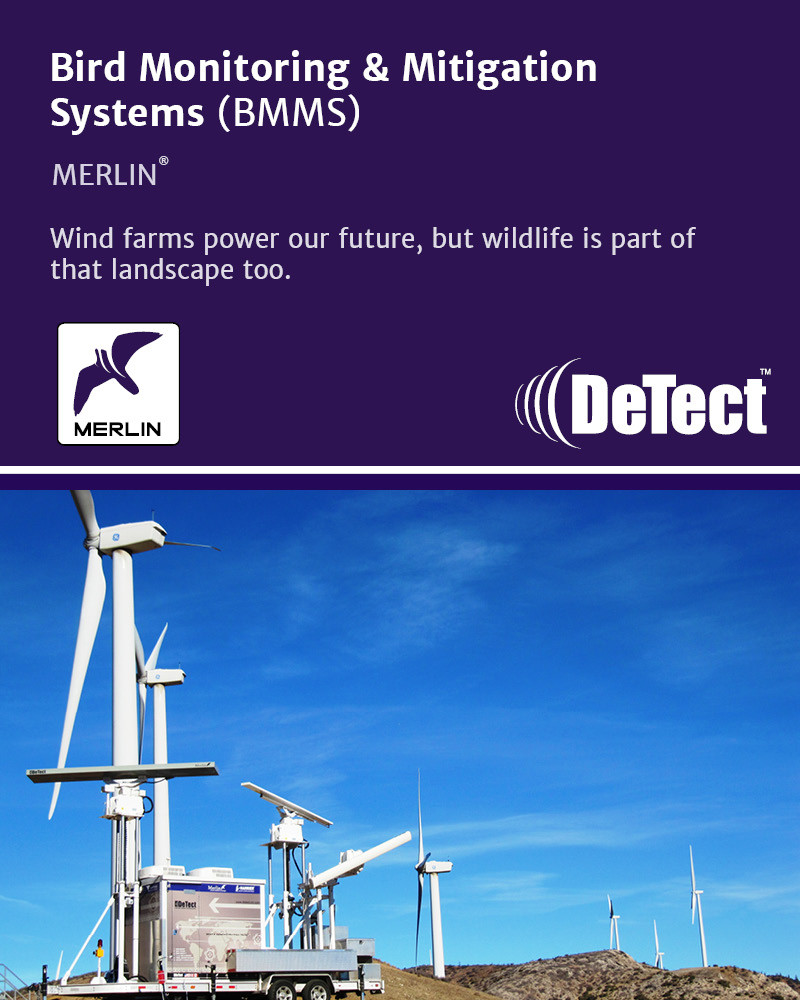 DeTect, Inc. | Panama City FL