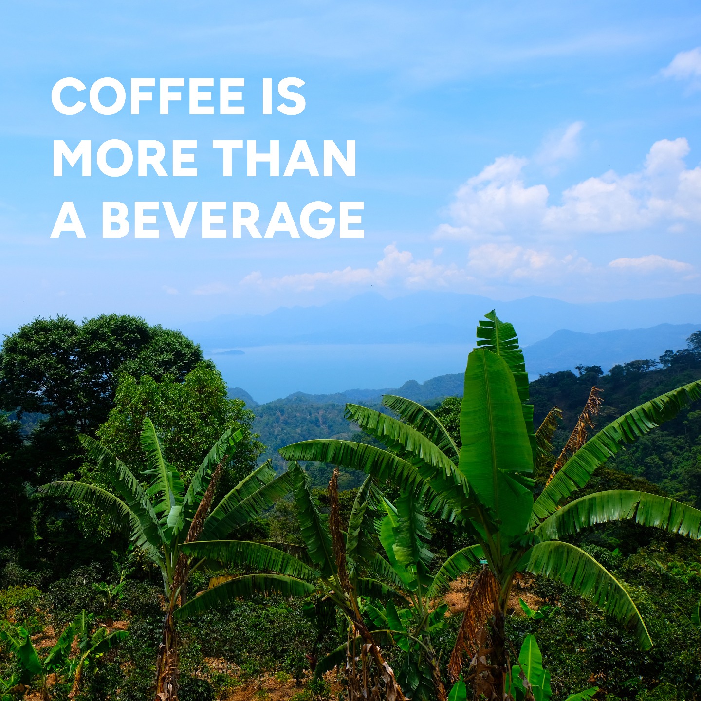 Dynamic Coffee - Coffee is more than a beverage, it’s an... | Facebook