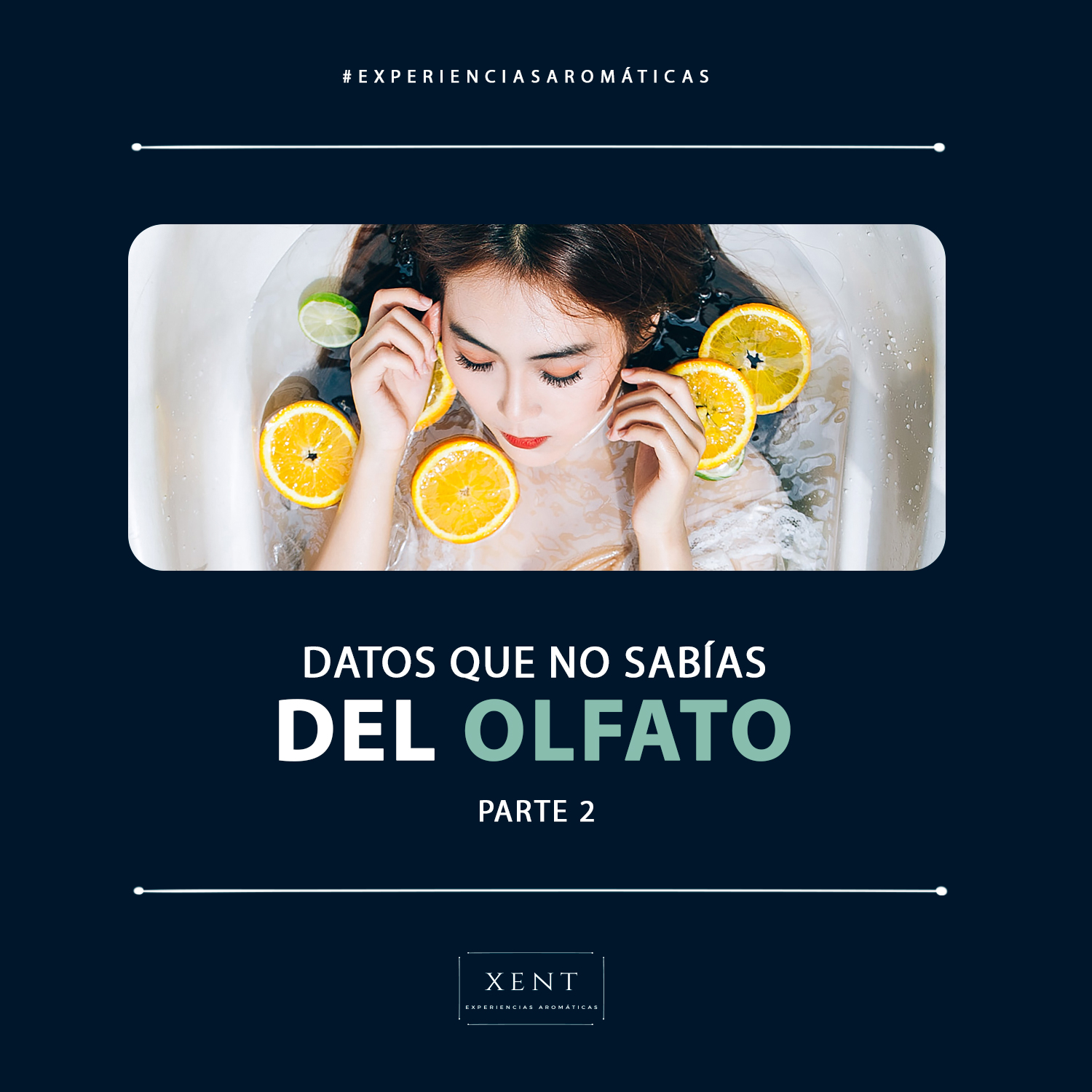 Xent - El olfato es el sentido que nunca descansa, en todo...